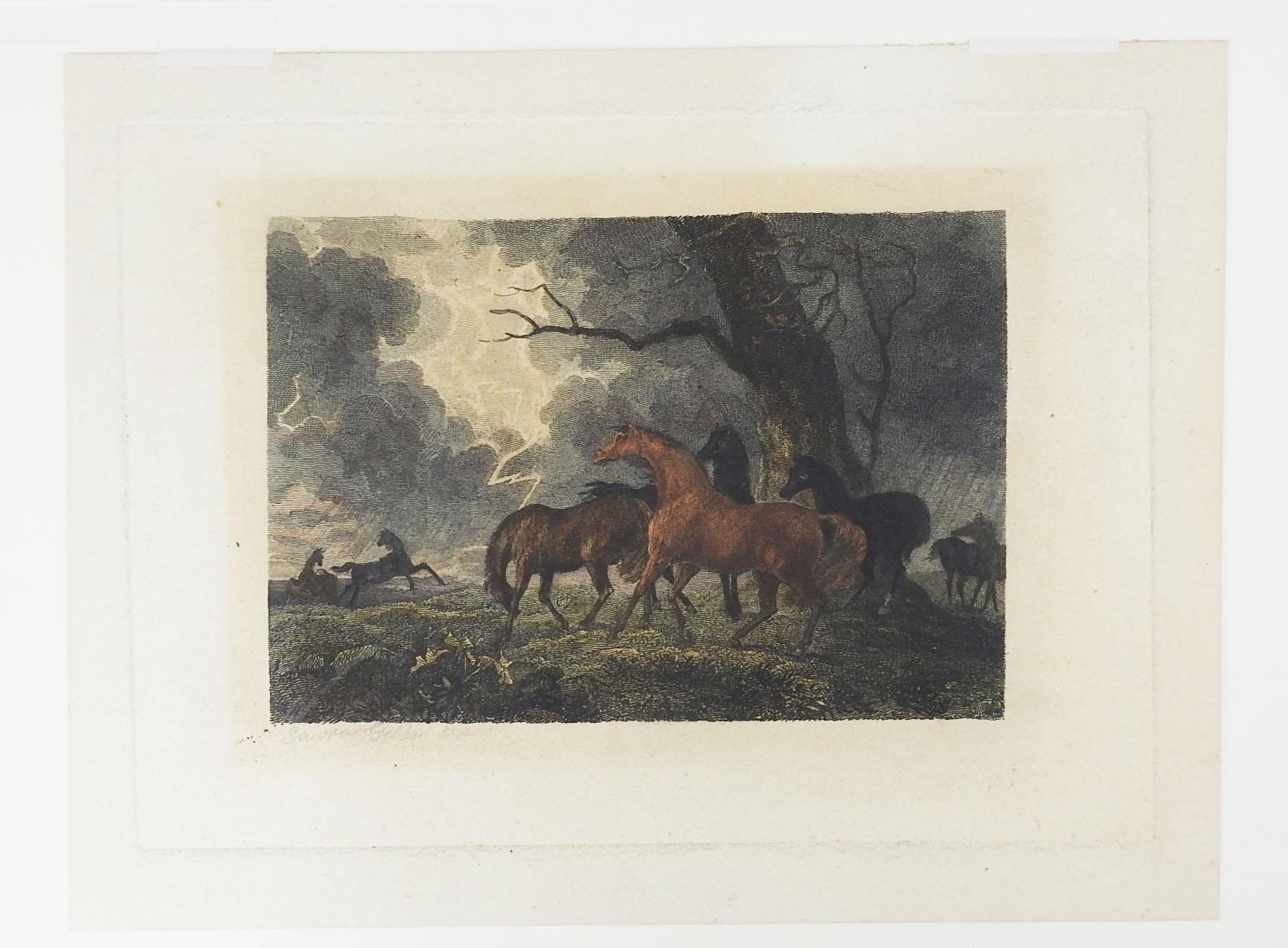 English Antique Sawrey Gilpin Horses in Thunderstorm Etching For Sale
