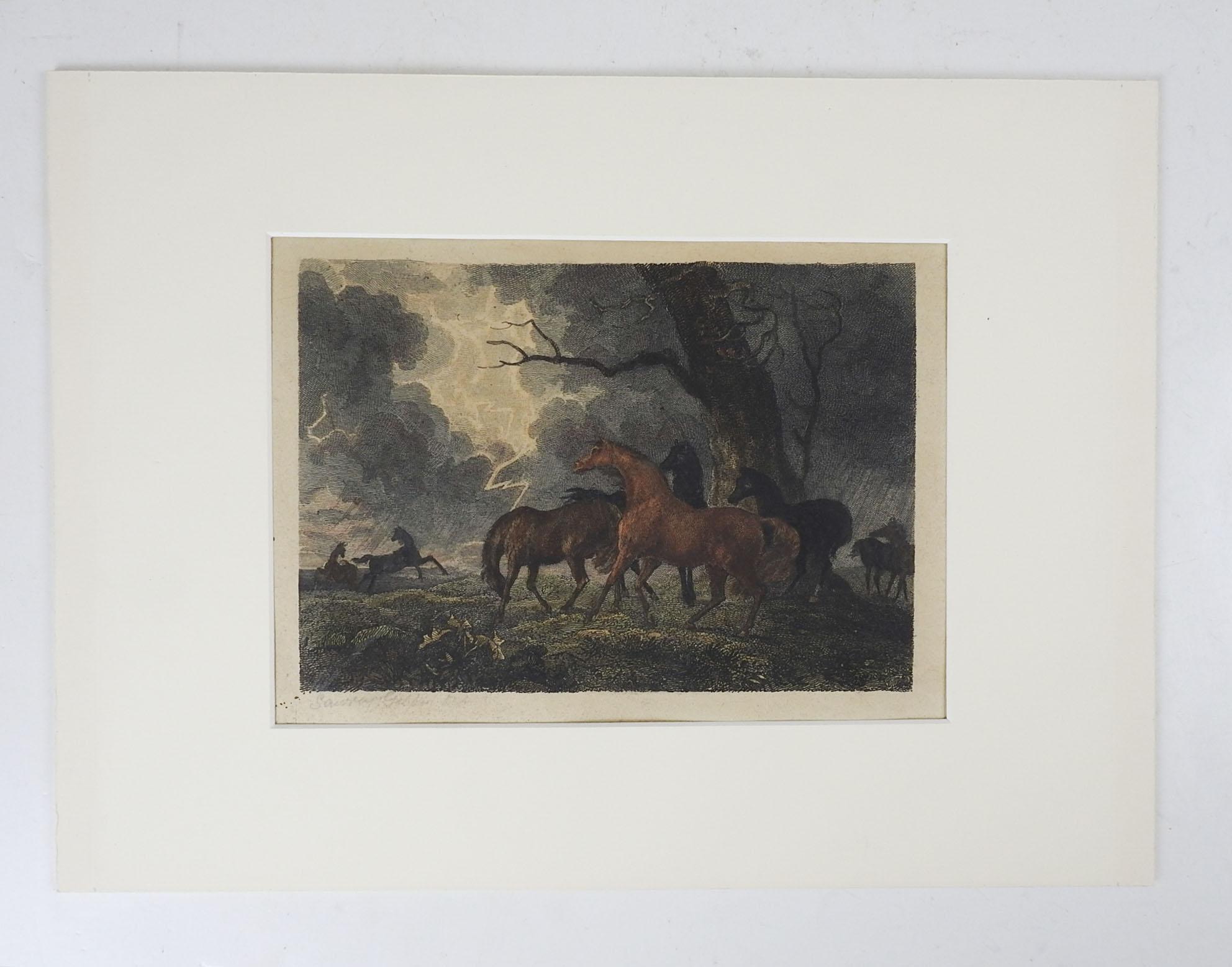 Ancienne gravure ancienne Sawrey Gilpin Horses in Thunderstorm ( chevaux de Thunderstorm) Bon état - En vente à Seguin, TX
