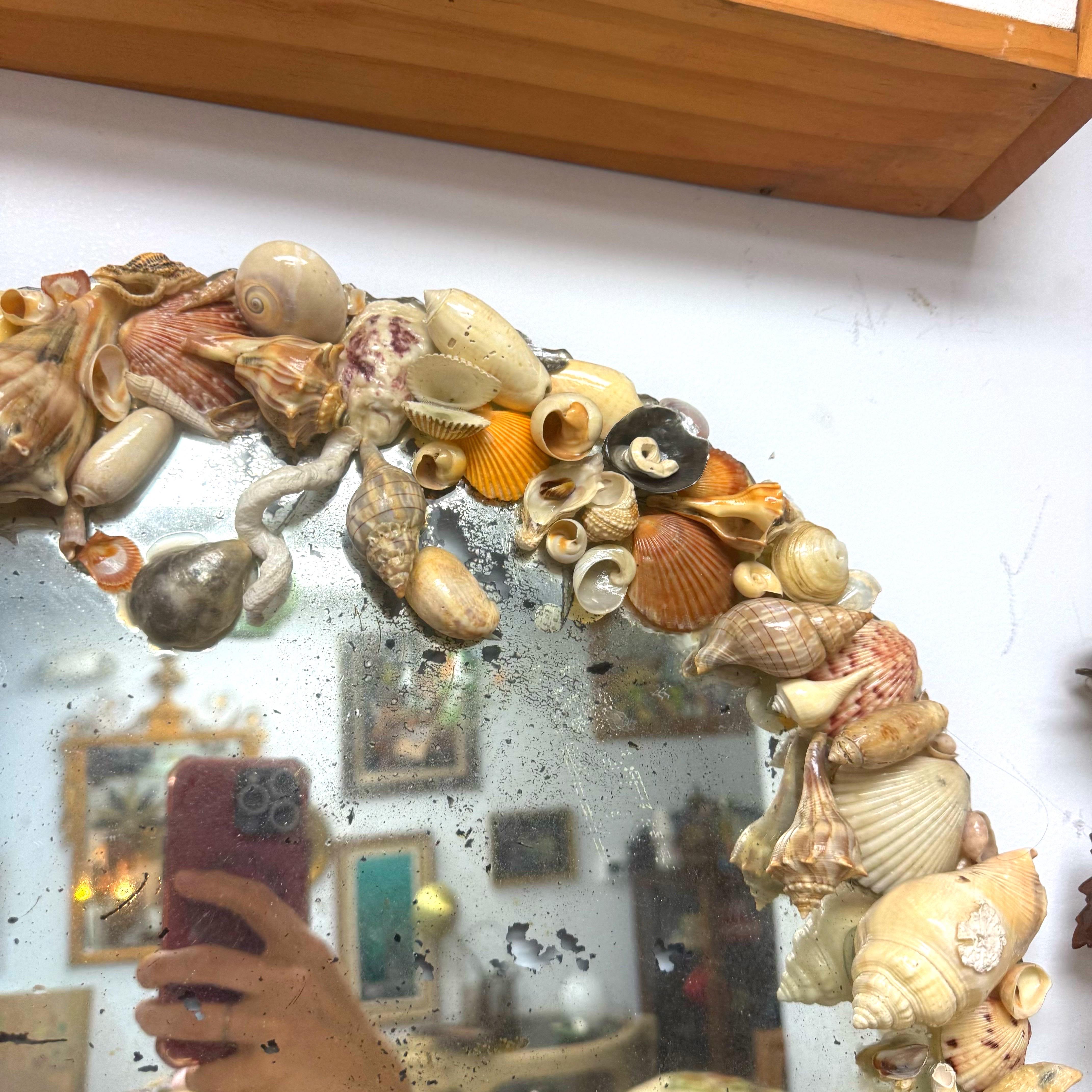 Antique Scalloped Frameless Circular Shelled Mirror For Sale 2