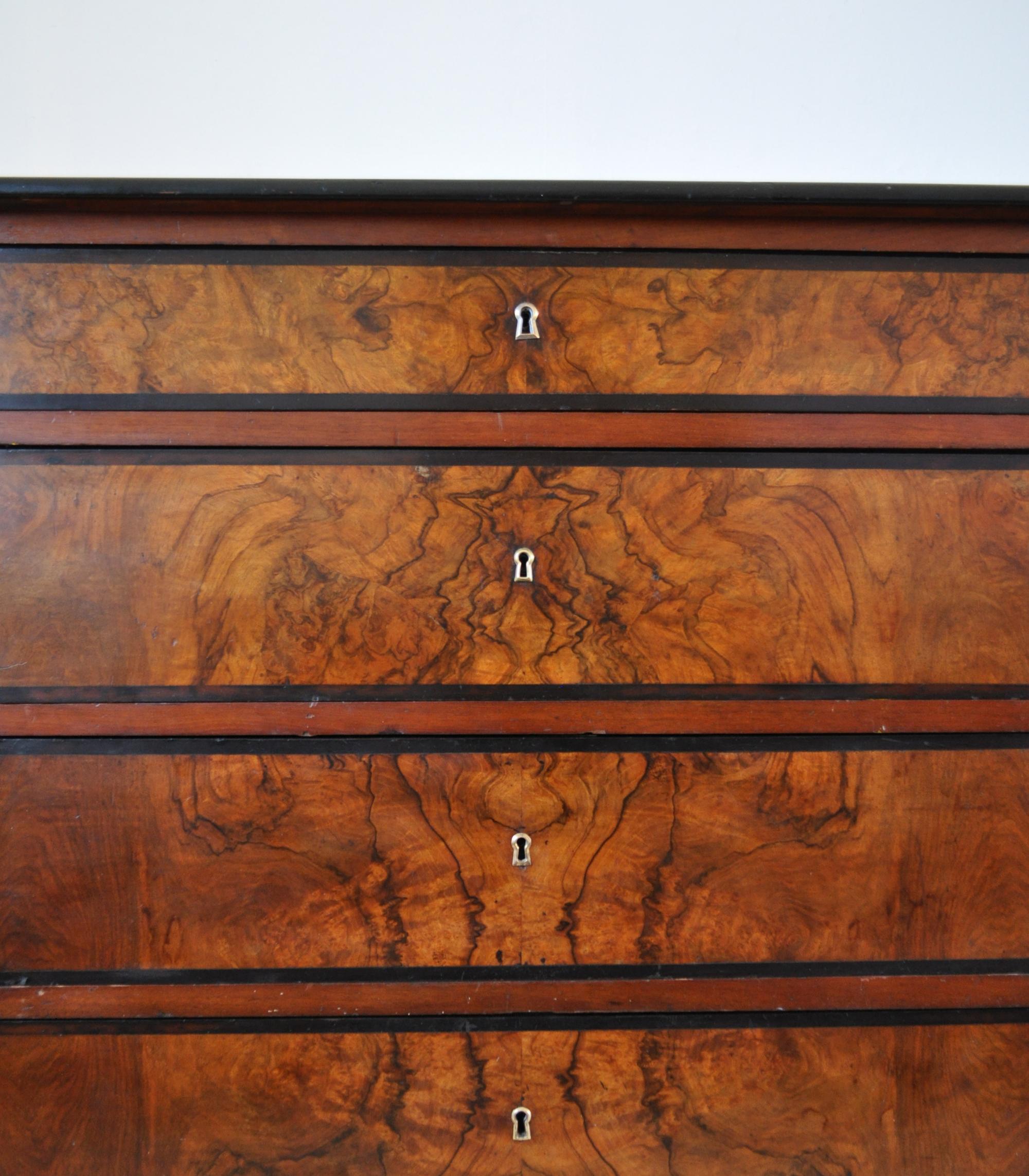 Antique Scandinavian Chest of Drawers in Walnut & Mahogany with Ebonized Details For Sale 3