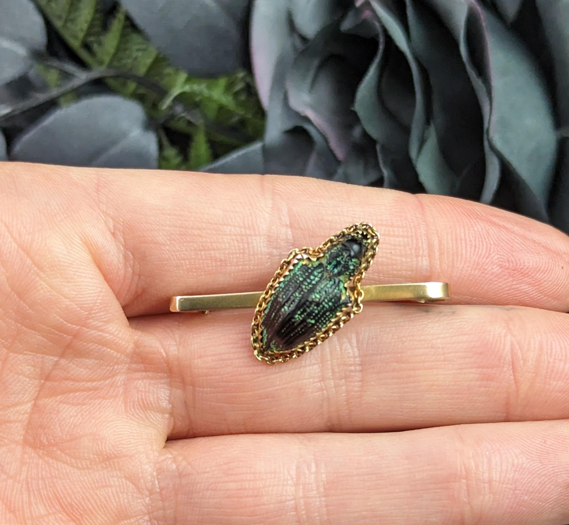 Antique Scarab beetle brooch, 9k yellow gold, Victorian  For Sale 6