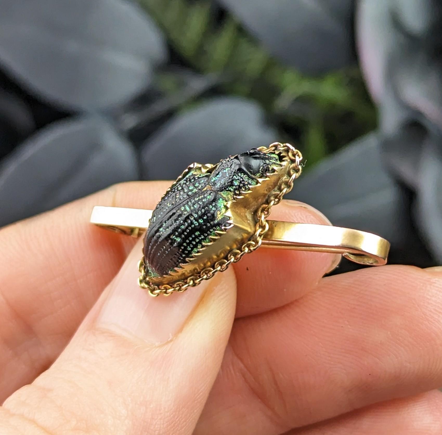 Antique Scarab beetle brooch, 9k yellow gold, Victorian  For Sale 2