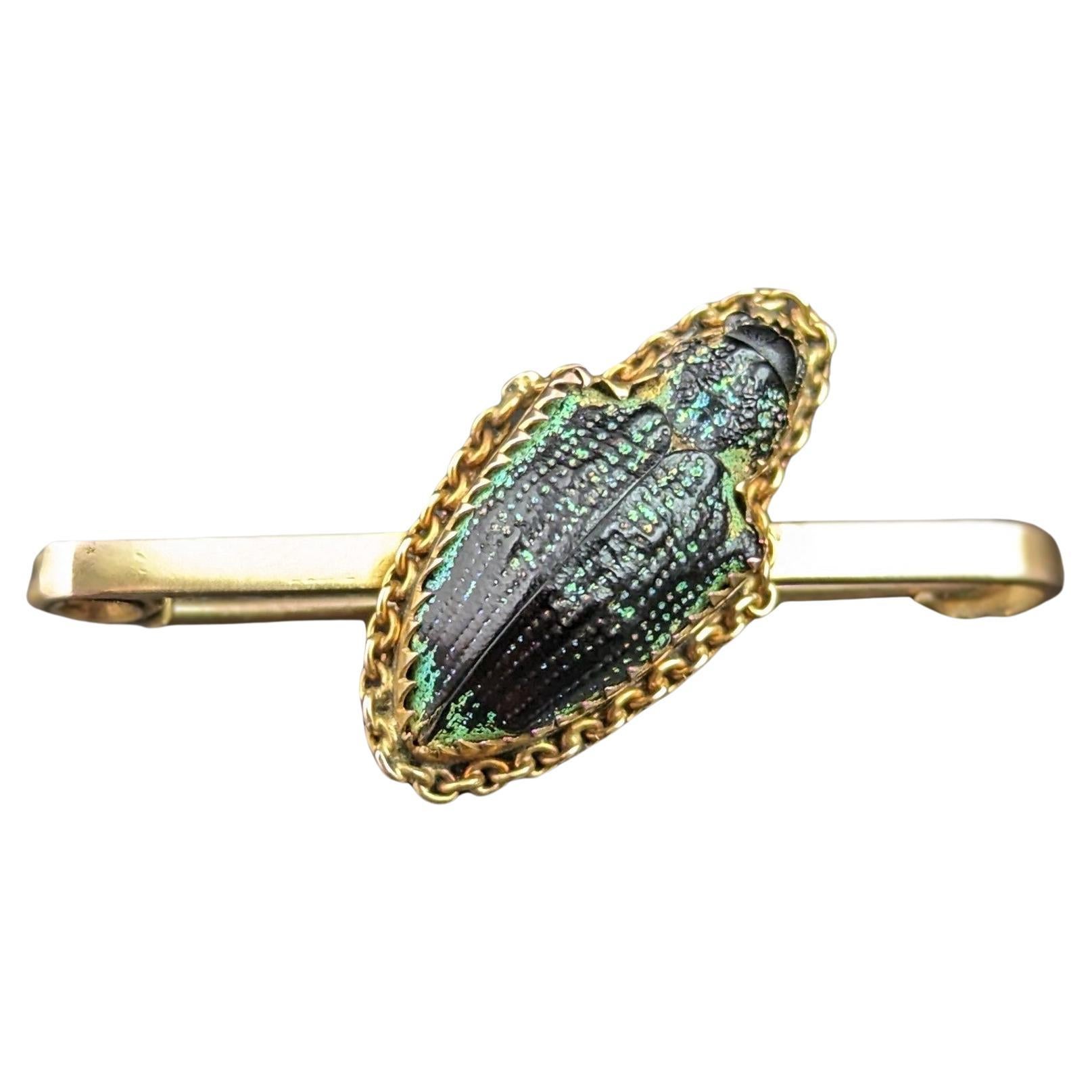 Antique Scarab beetle brooch, 9k yellow gold, Victorian  For Sale