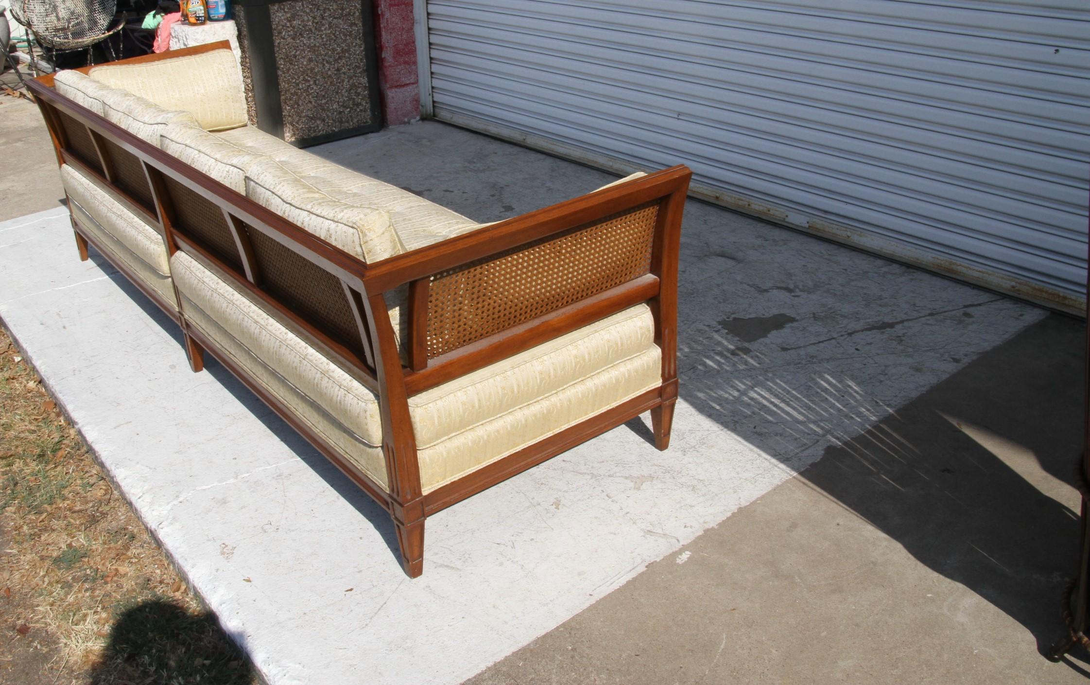 Antique Schoonbeck Company Cane Sofa 4