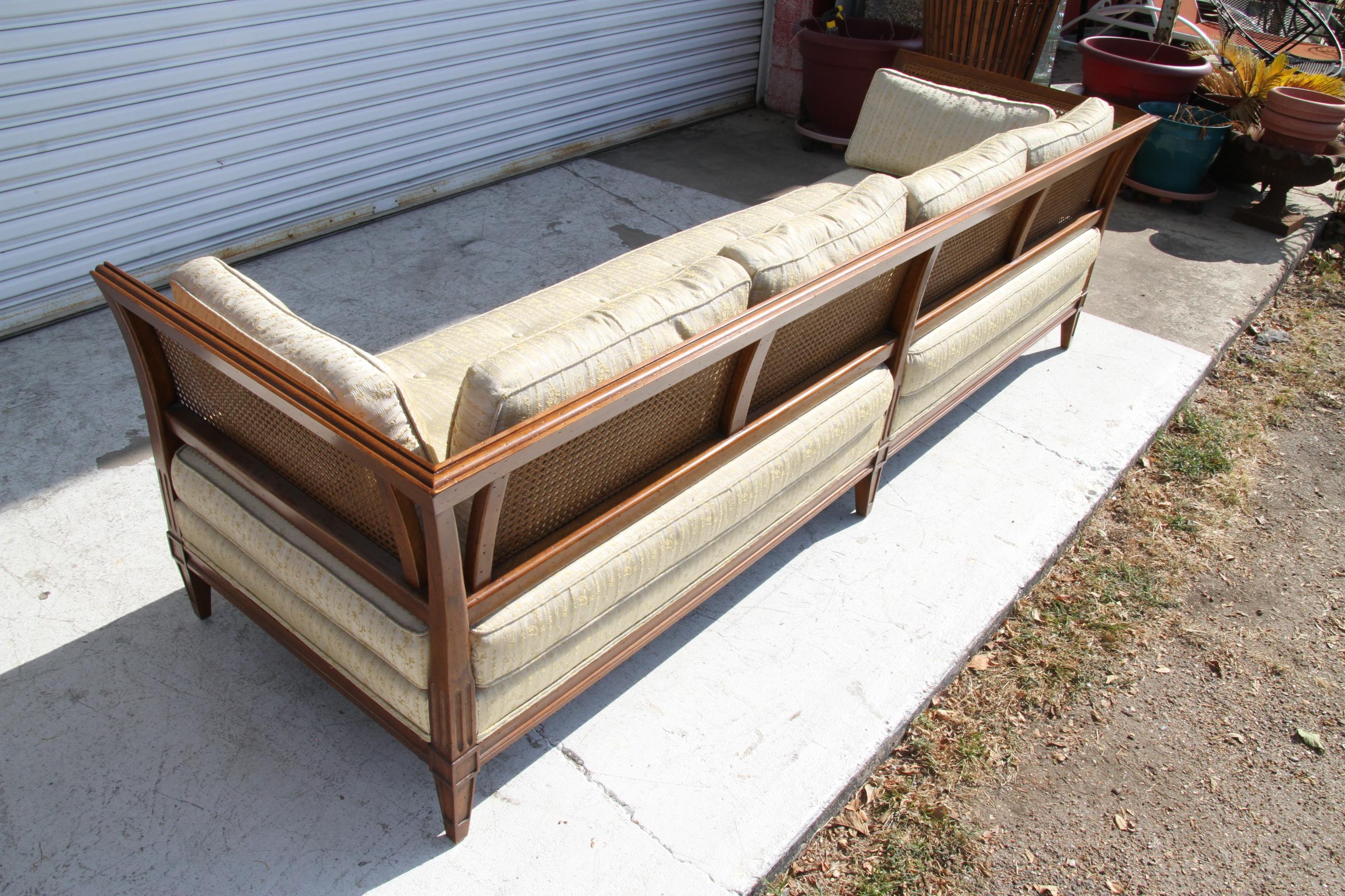 Antique Schoonbeck Company Cane Sofa 5
