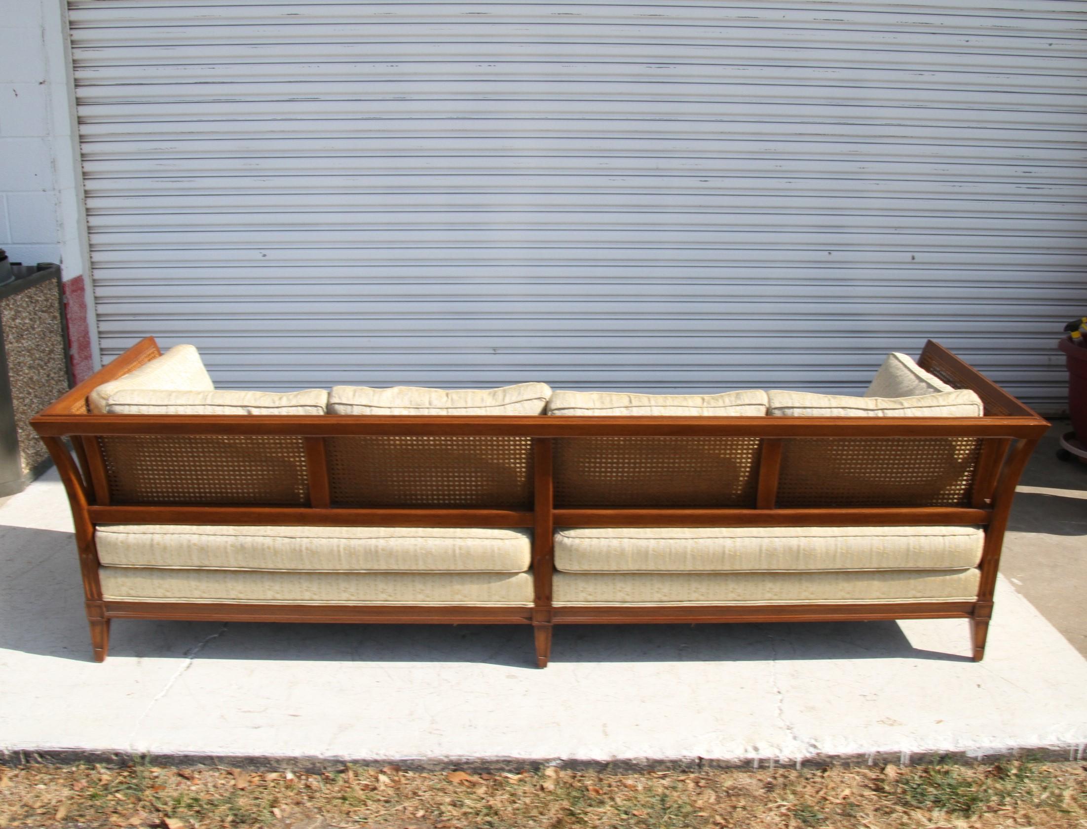 Antique Schoonbeck Company Cane Sofa 6