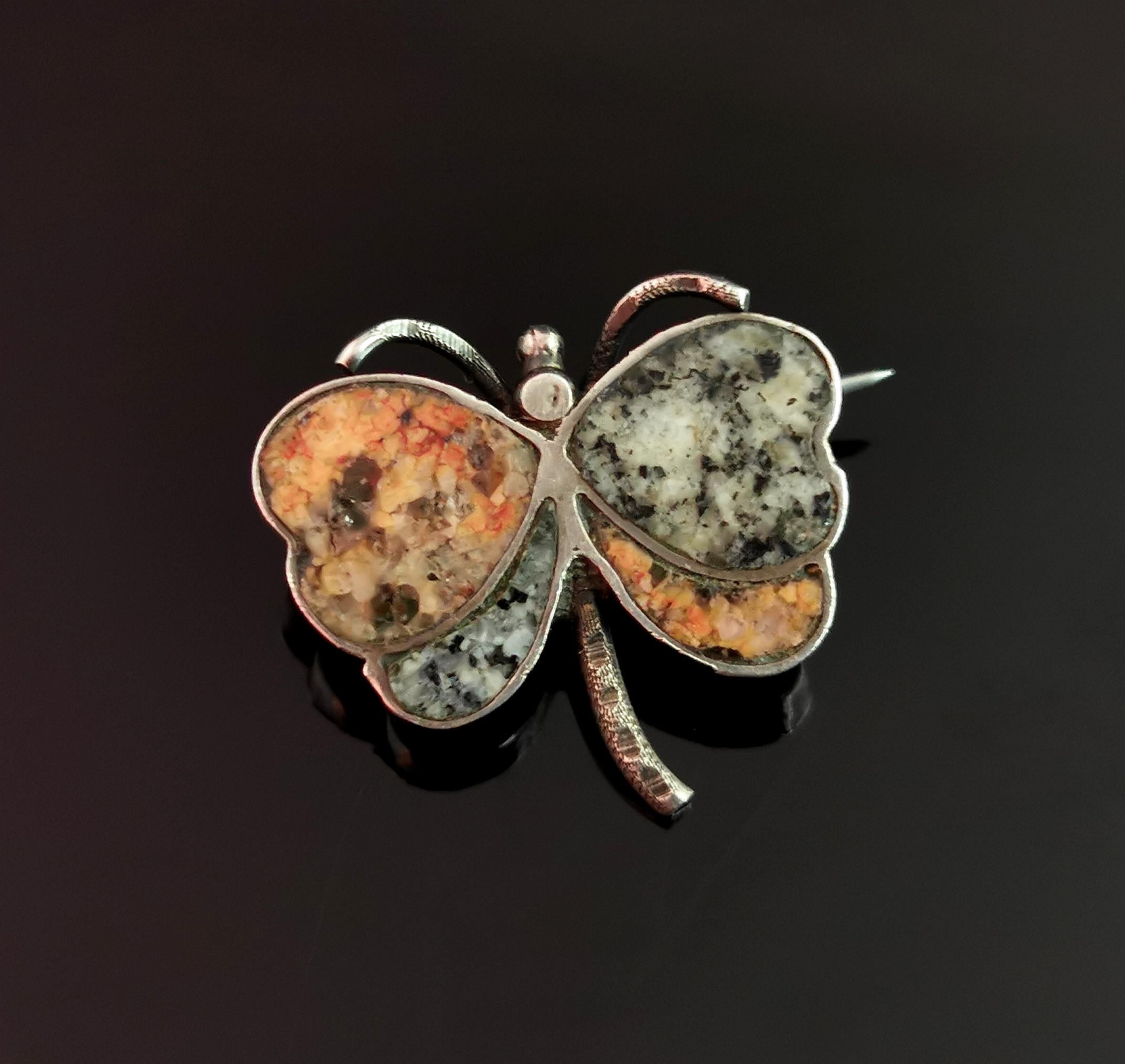Antike Schmetterlingsbrosche aus schottischem Achat und Silber (Viktorianisch)