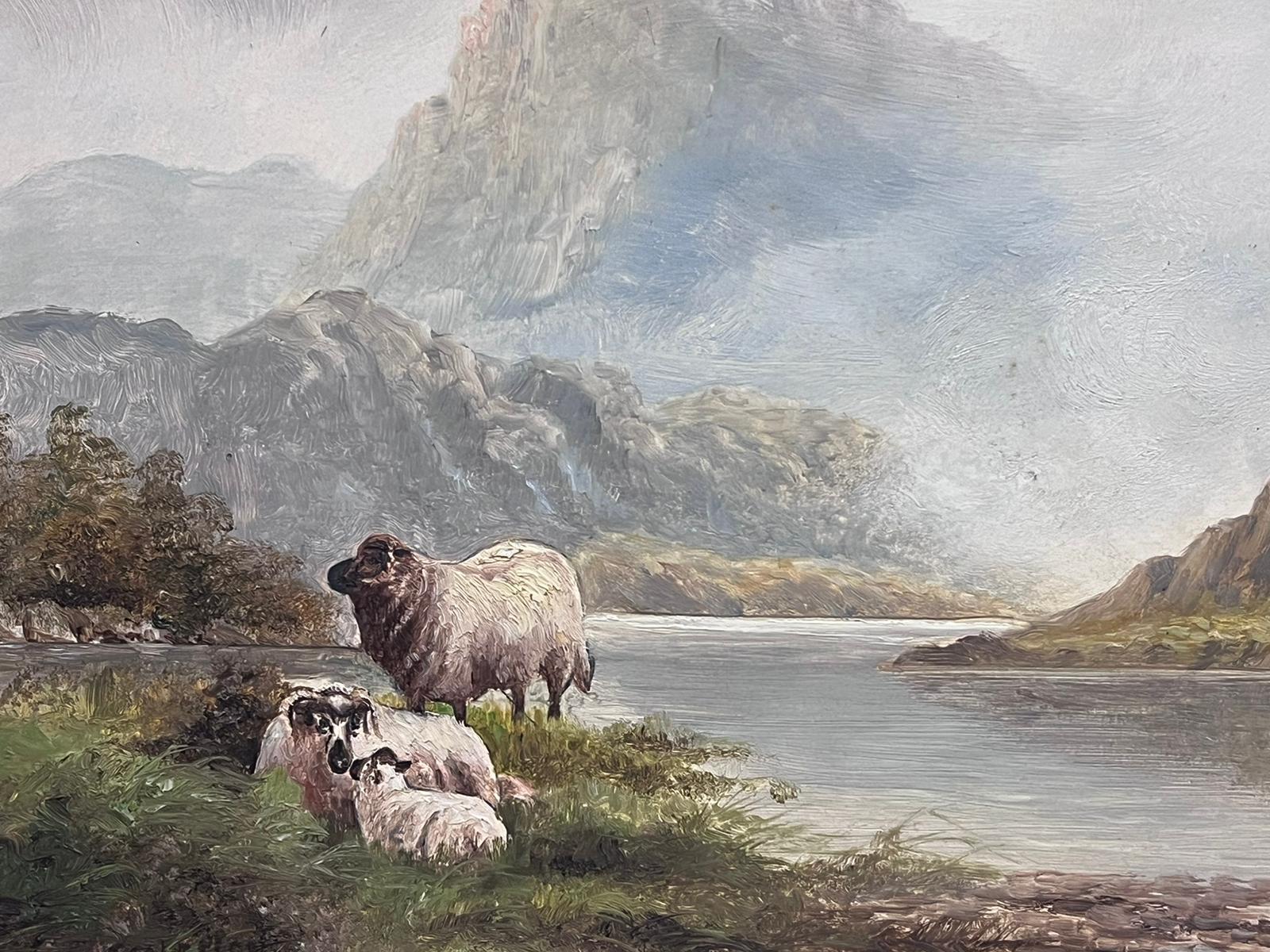 Peinture à l'huile écossaise ancienne représentant des moutons au repos dans un paysage Tranquil Highland Loch en vente 1