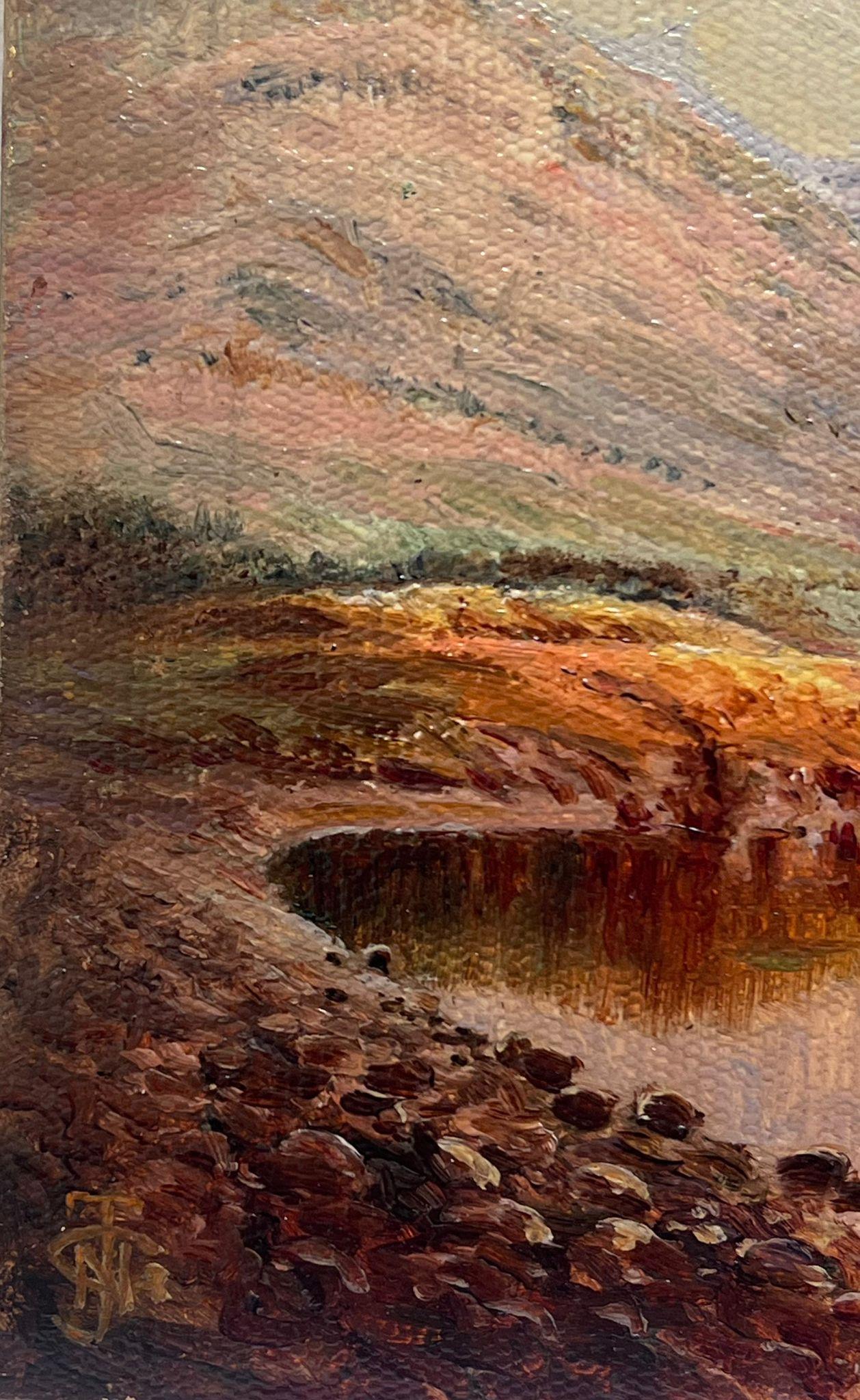 Scena di Loch delle Highlands scozzesi con pescatore in barca Pittura a olio britannica d'epoca - Painting di Antique Scottish School