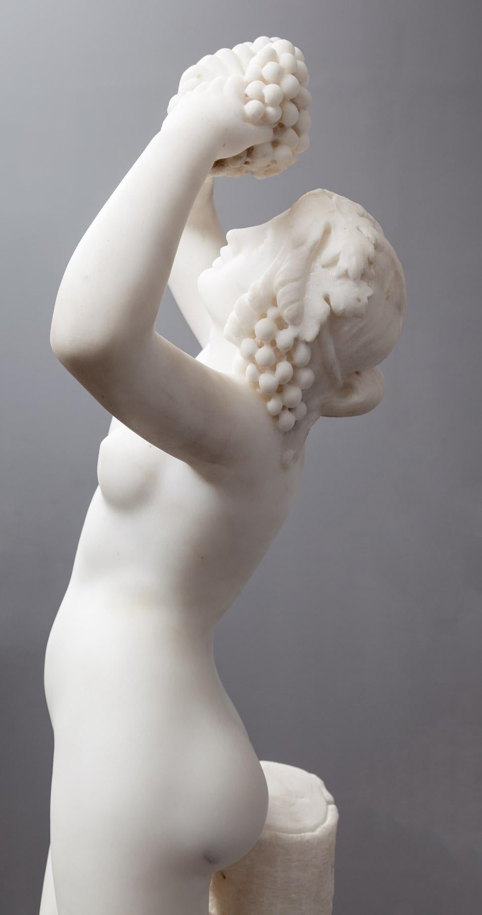 aphrodite braschi