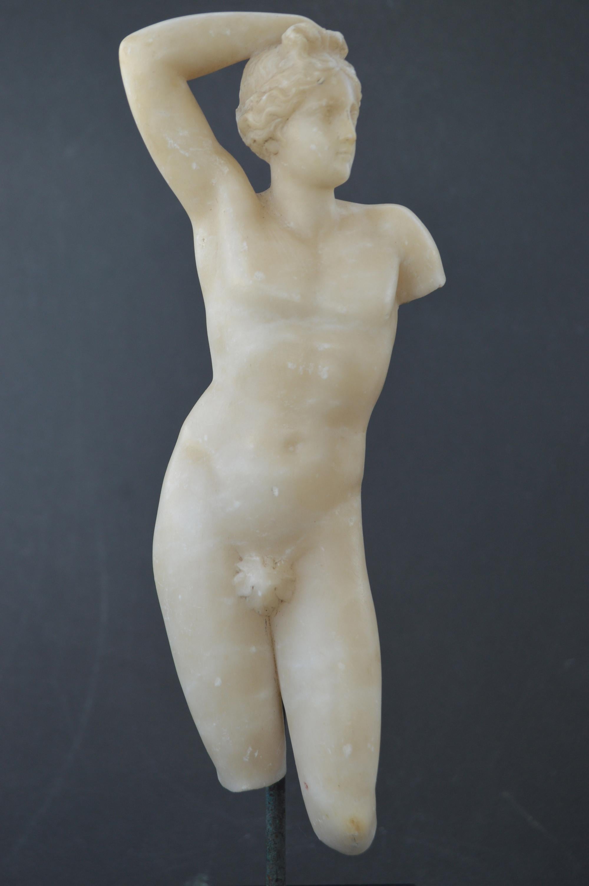 Classical Greek Antique Sculpture of Classical Male Torso