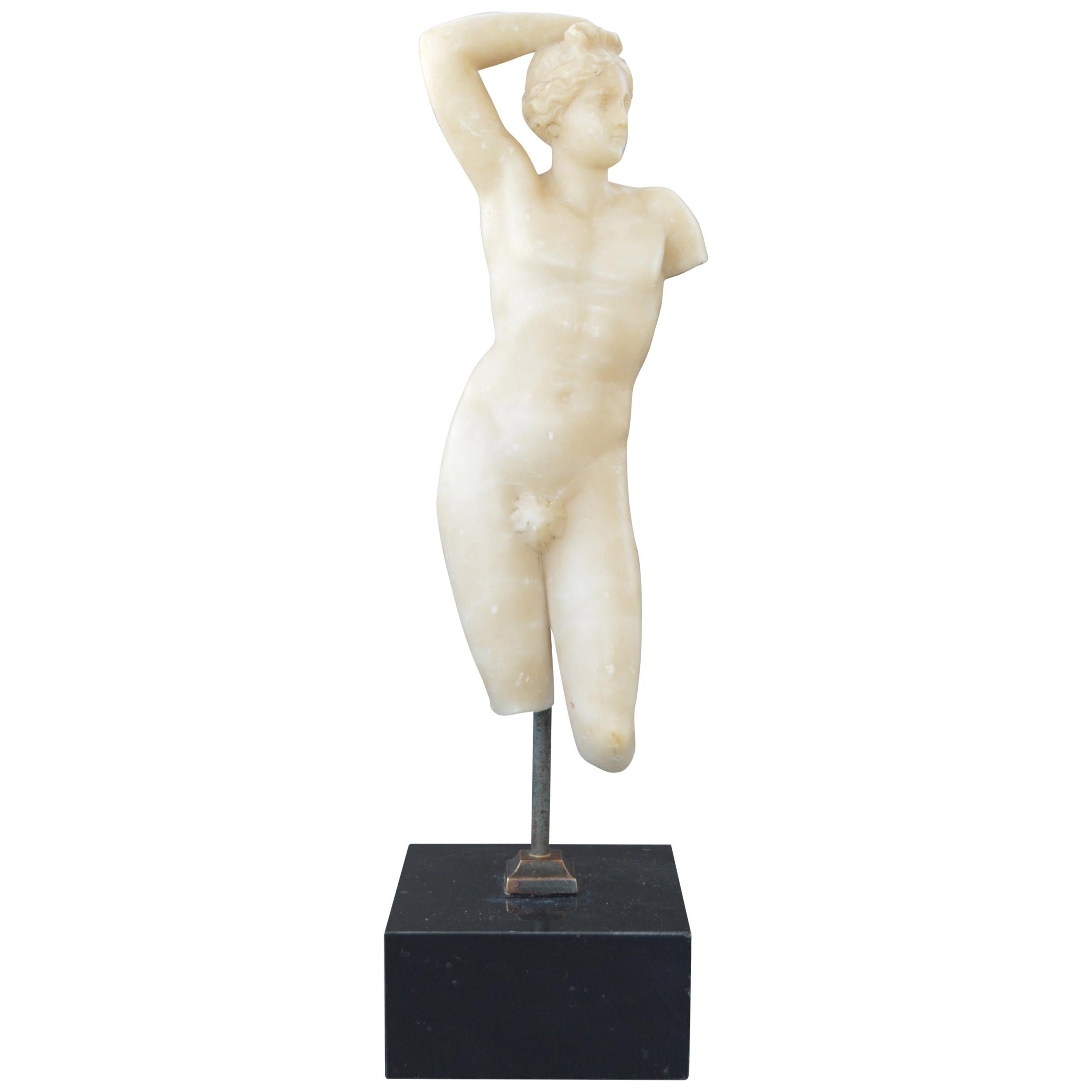 Antique Sculpture of Classical Male Torso