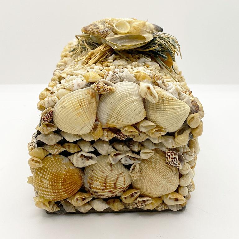 sea shell box