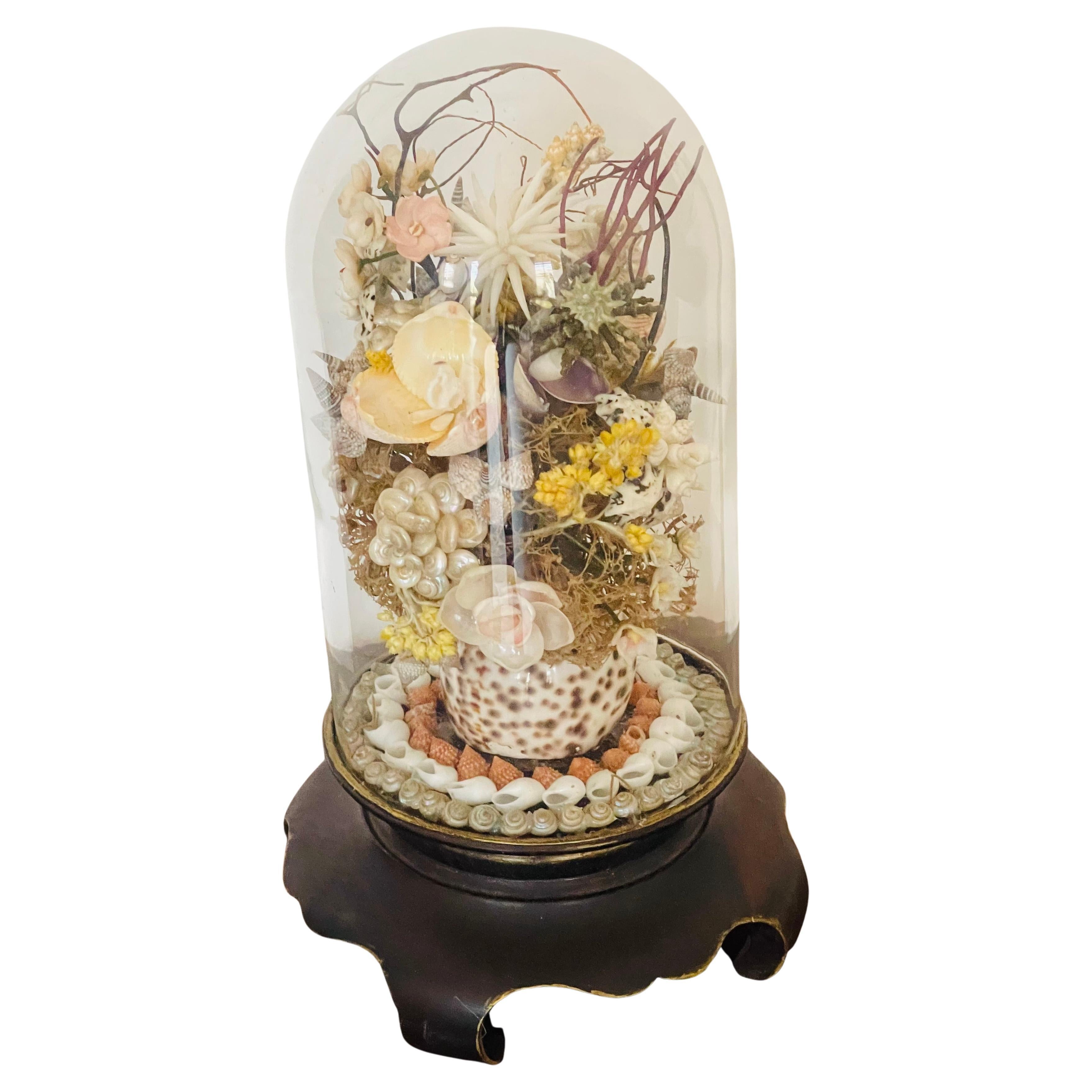 Antique Sea Shell Floral Arrangement with Immortella in Glass Dome