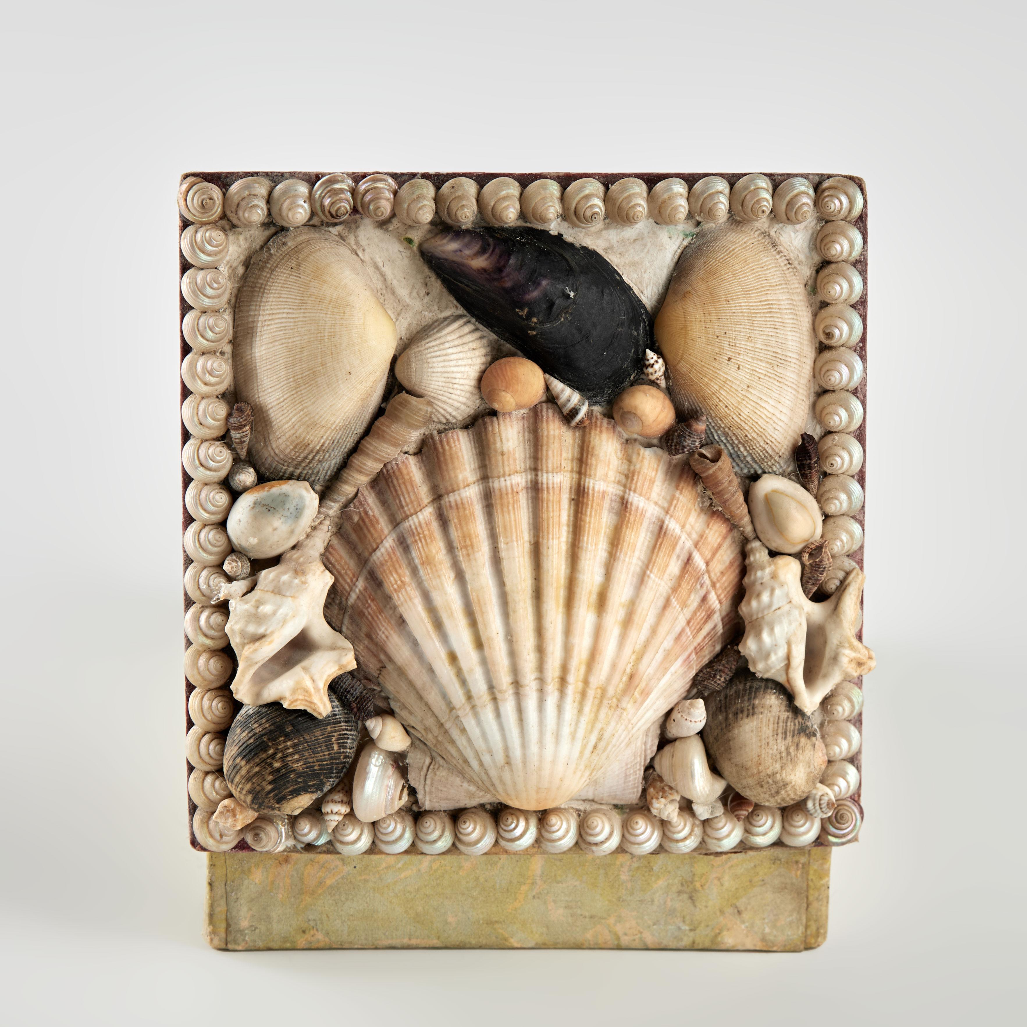 Enchanting antique English box crafted with a hinged top lovingly decorated with collected exotic seashells over a cardboard bottom. 