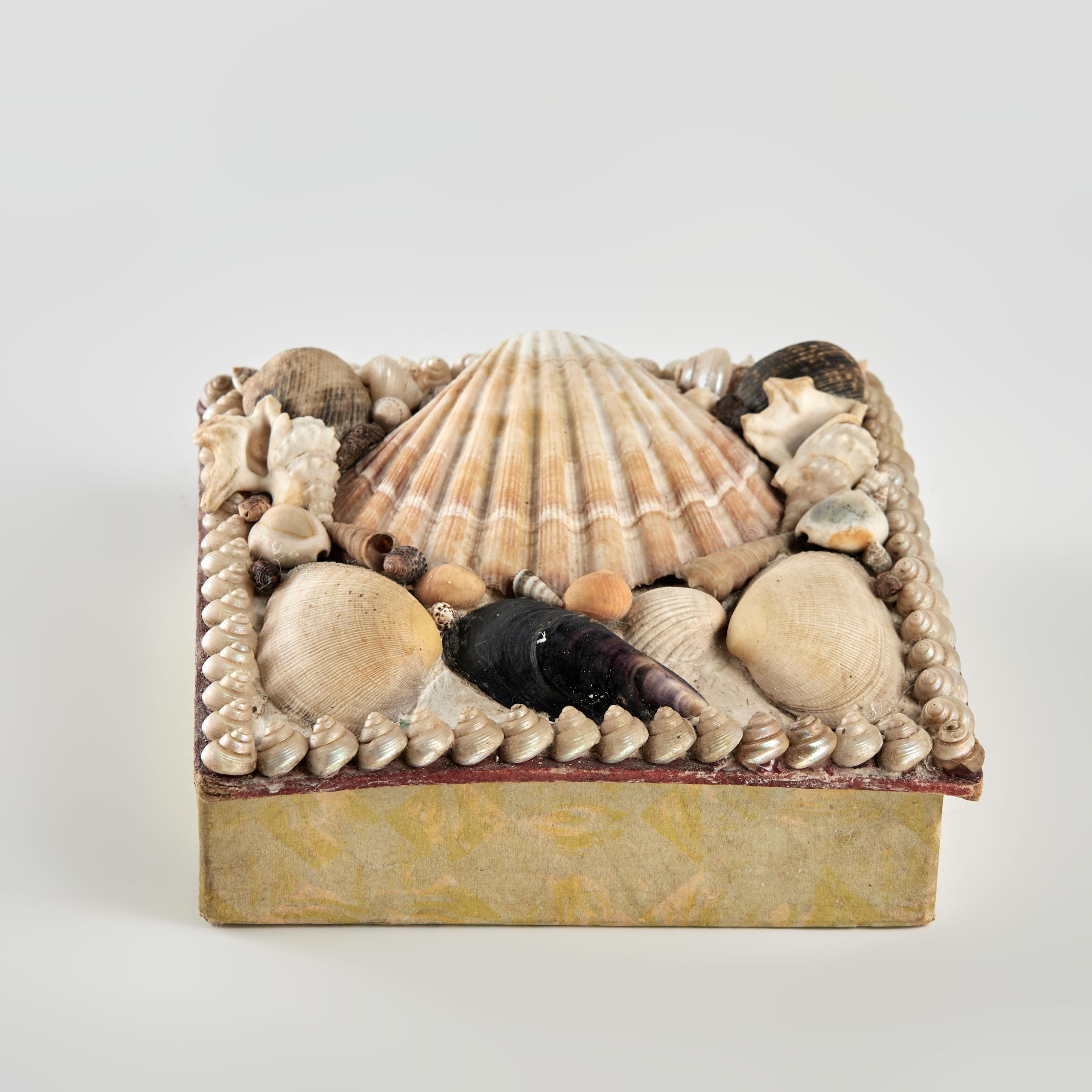 English Antique Seashell Box For Sale