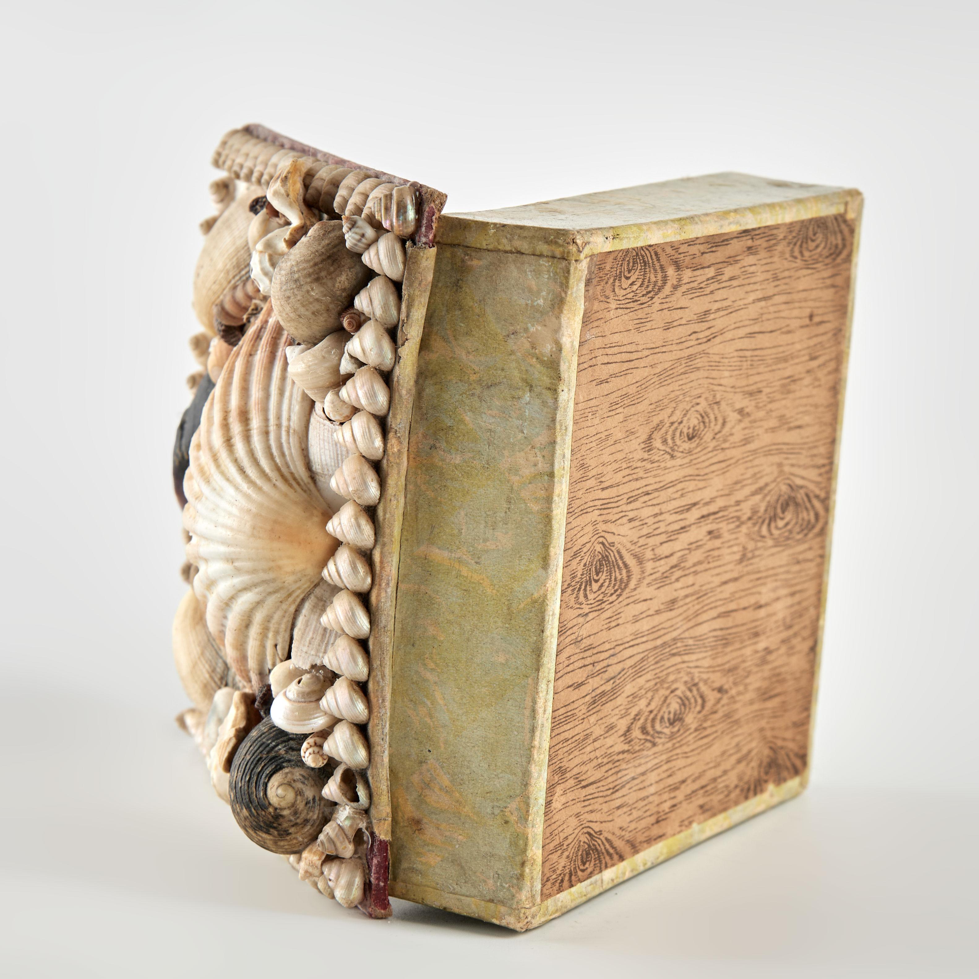 20th Century Antique Seashell Box For Sale
