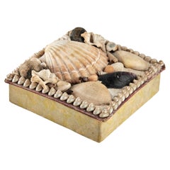 Antique Seashell Box
