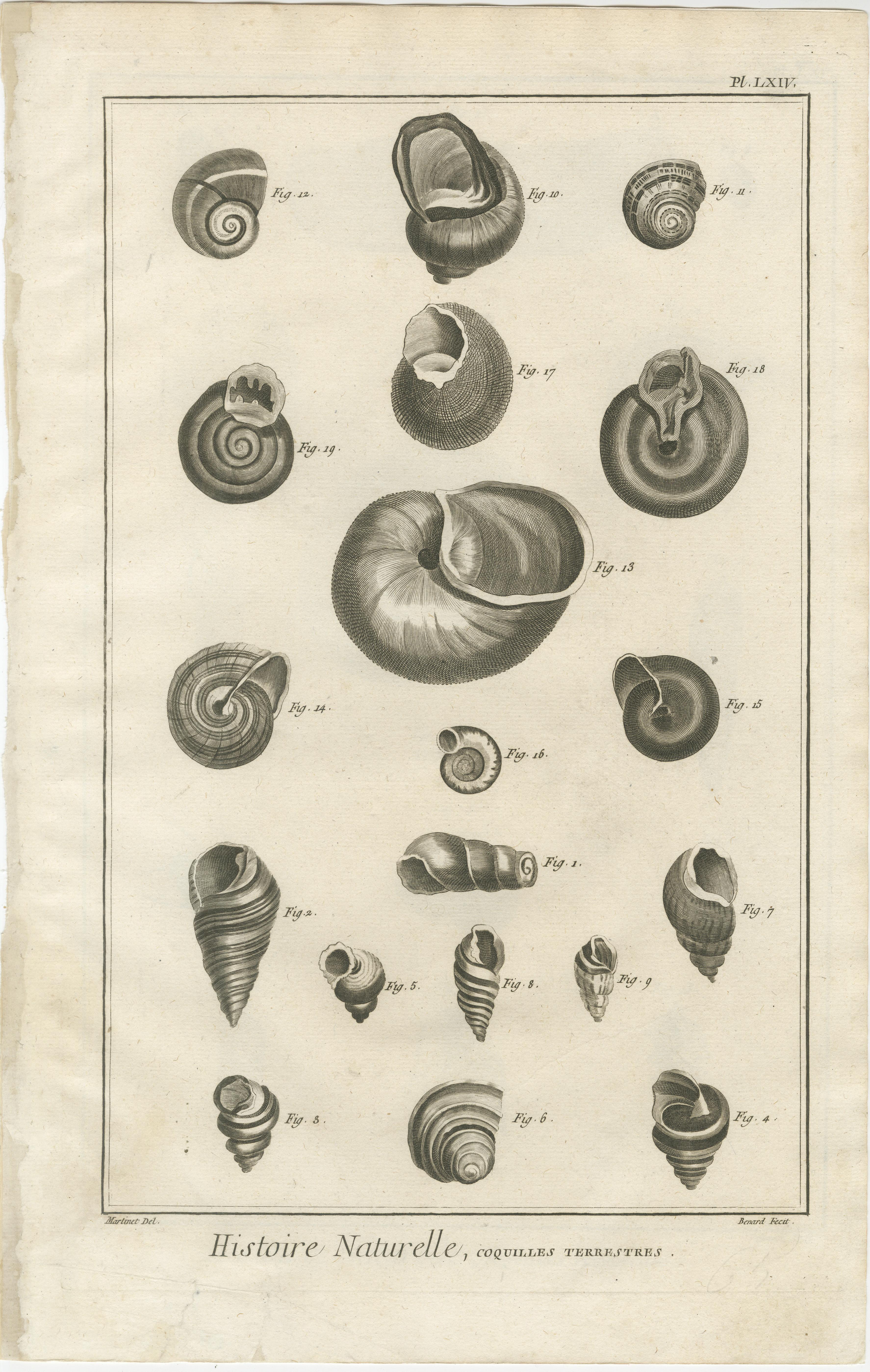 Ensemble de dix gravures anciennes de coquillages et d'invertébrés marins tirées de l'Encyclopédie de Diderot, vers 1770

Un groupe exceptionnel de dix gravures sur cuivre tirées de la monumentale Encyclopédie ou Dictionnaire raisonné des sciences,