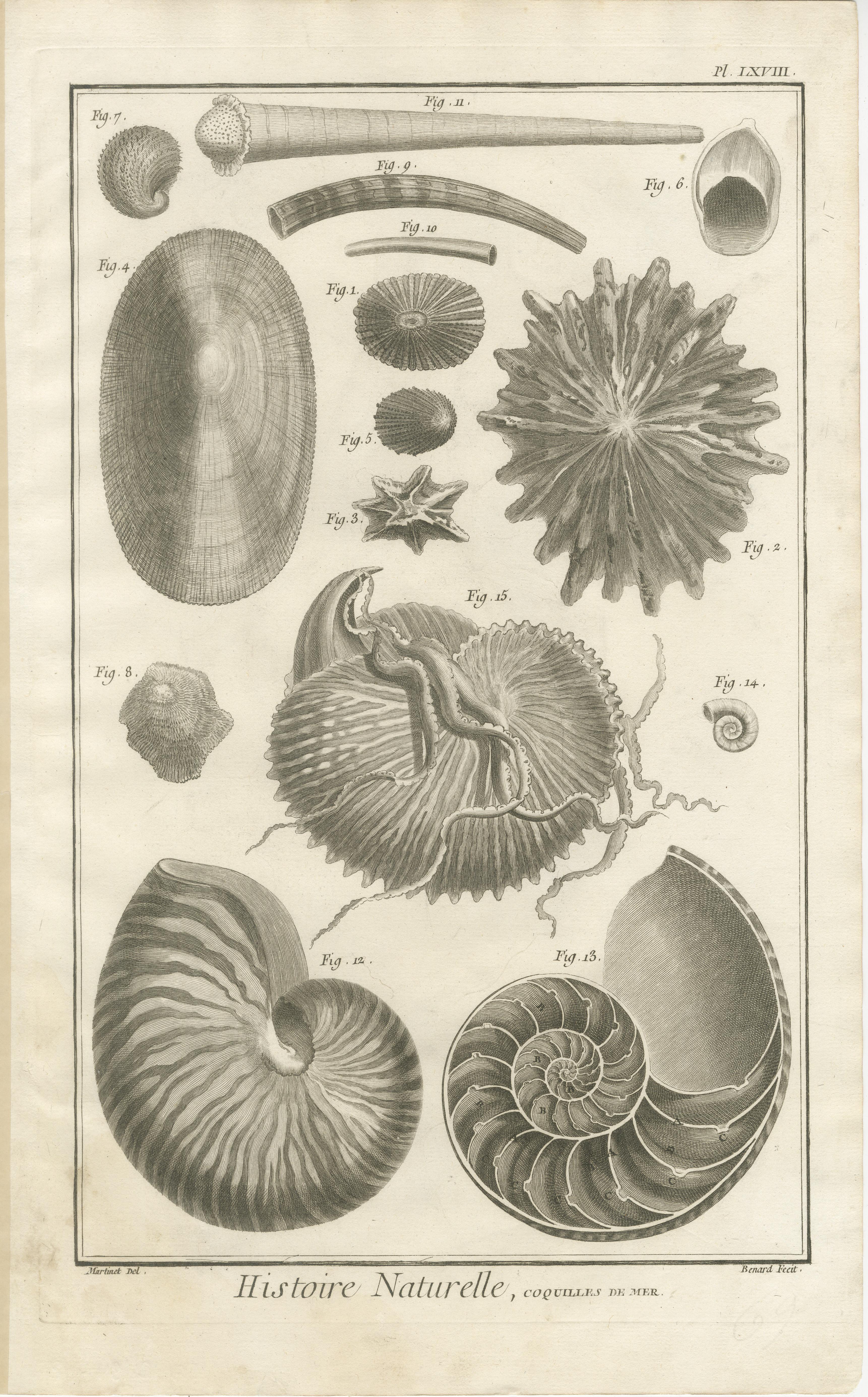 Gravures anciennes sur coquillages - Ensemble de dix gravures marines du XVIIIe siècle, c.1770 Bon état - En vente à Langweer, NL