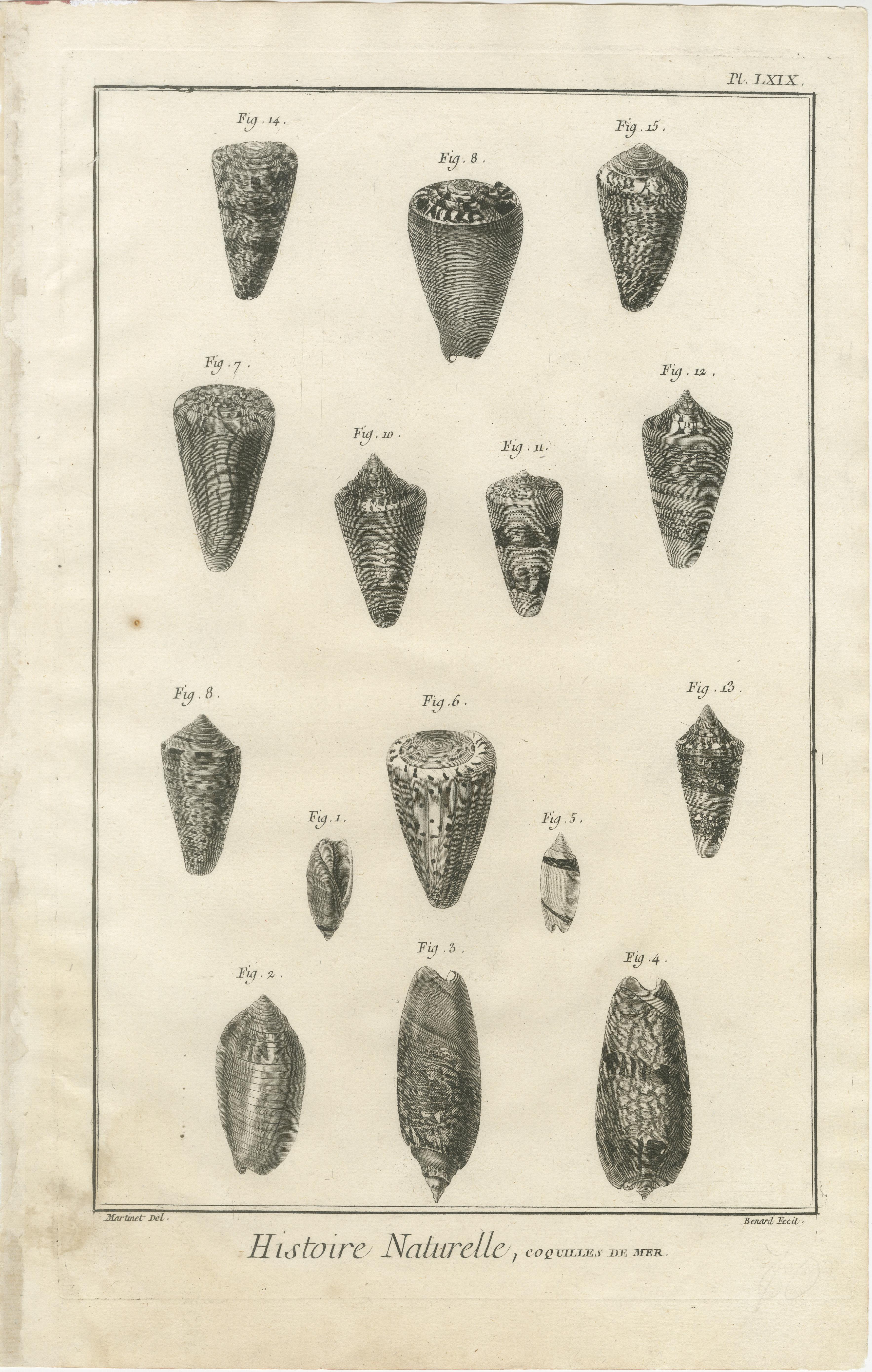 Fin du XVIIIe siècle Gravures anciennes sur coquillages - Ensemble de dix gravures marines du XVIIIe siècle, c.1770 en vente