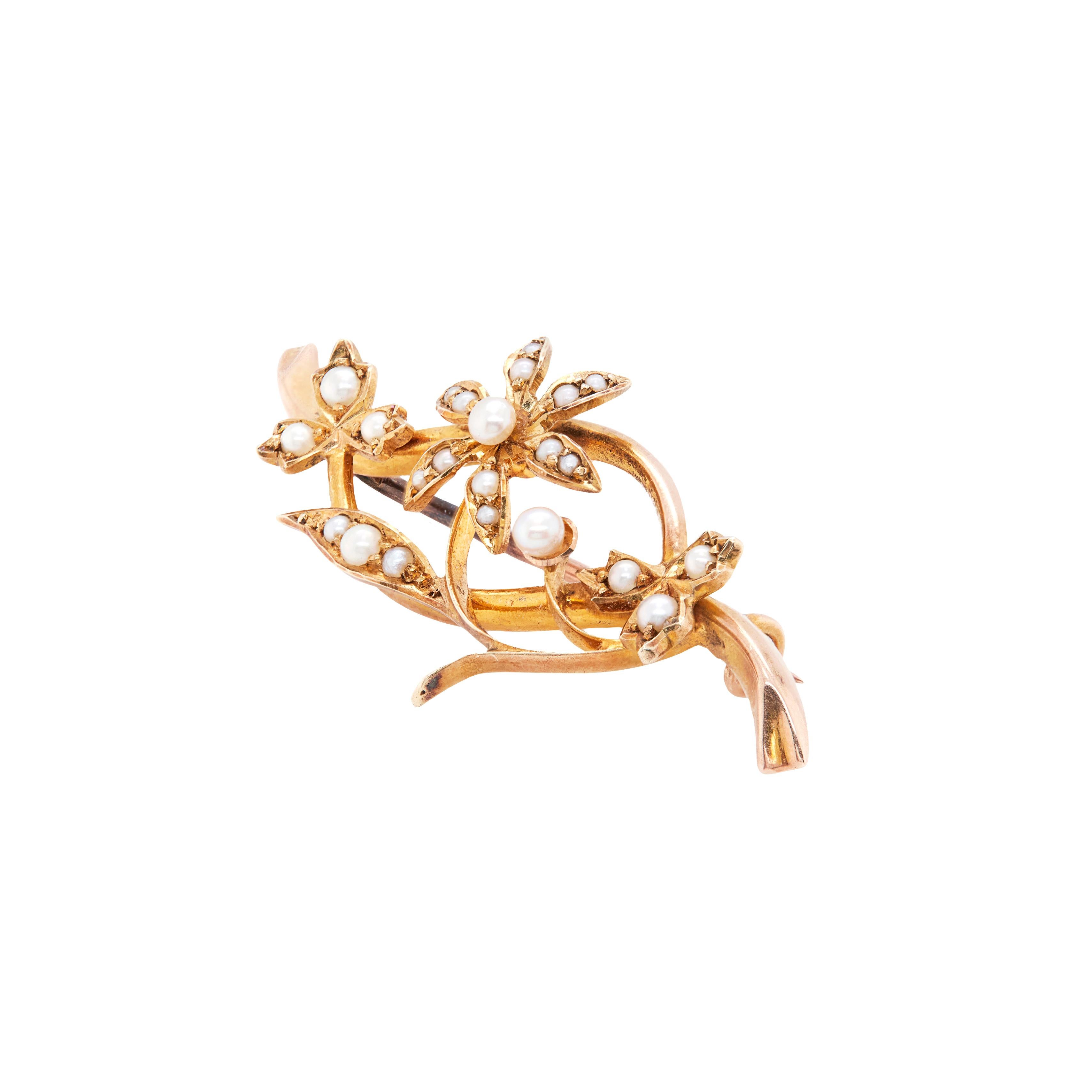 Taille ronde Broche ancienne en forme de vigne en perles naturelles et or jaune 15 carats en vente