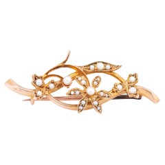Antique Seed Pearl and 15 Carat Yellow Gold Flower Vine Brooch