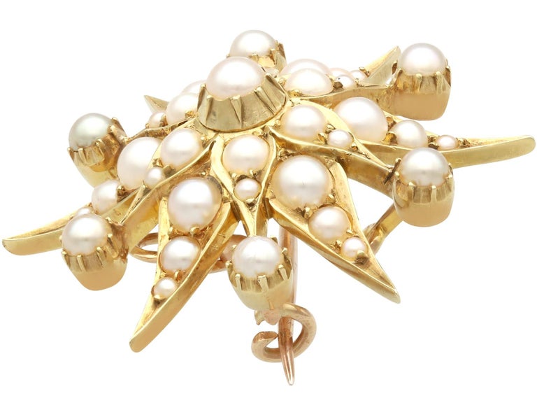 Antique Seed Pearl and 15k Yellow Gold Pendant / Brooch Circa 1920 For ...