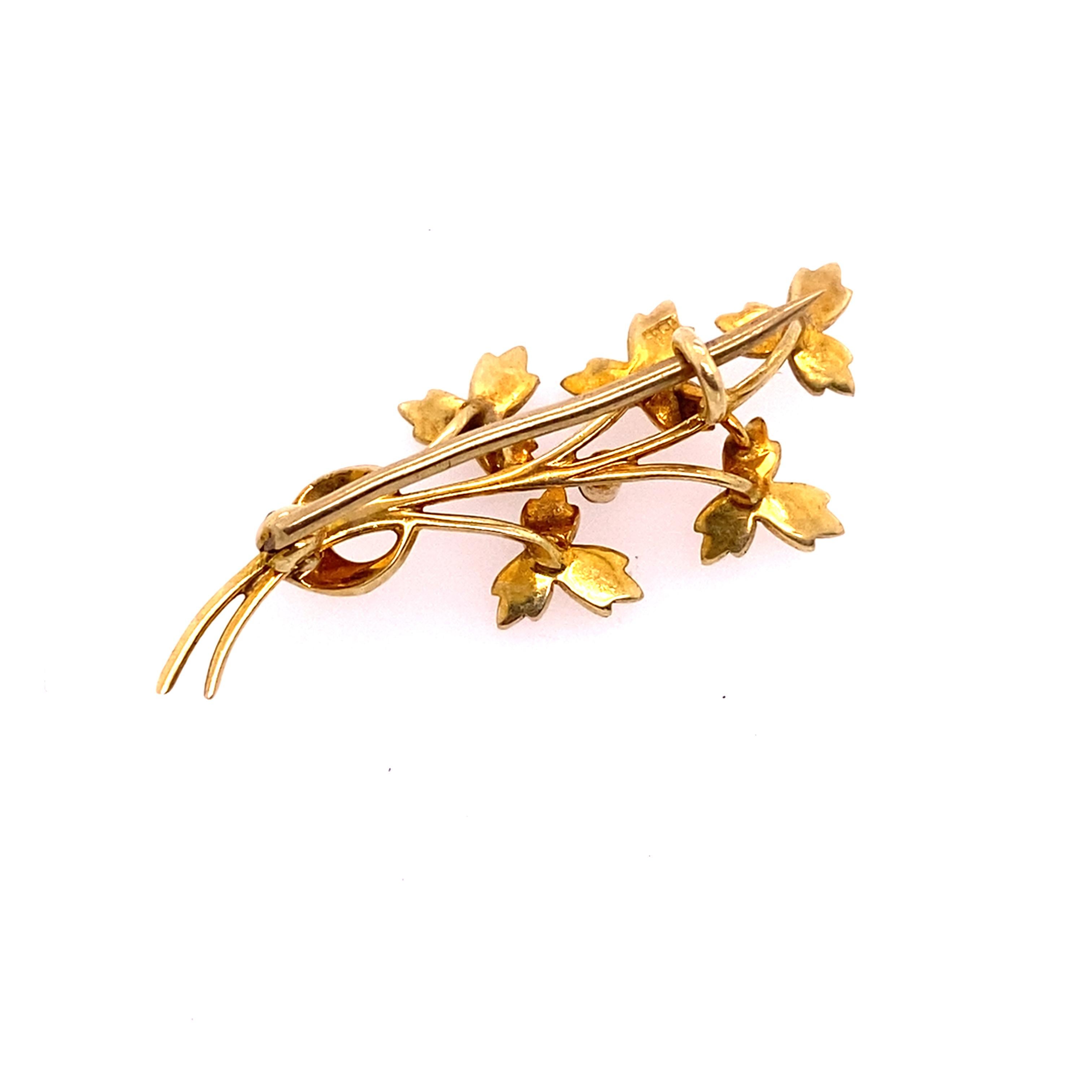 Round Cut Antique Seed Pearl Spray Brooch in 15ct Gold For Sale