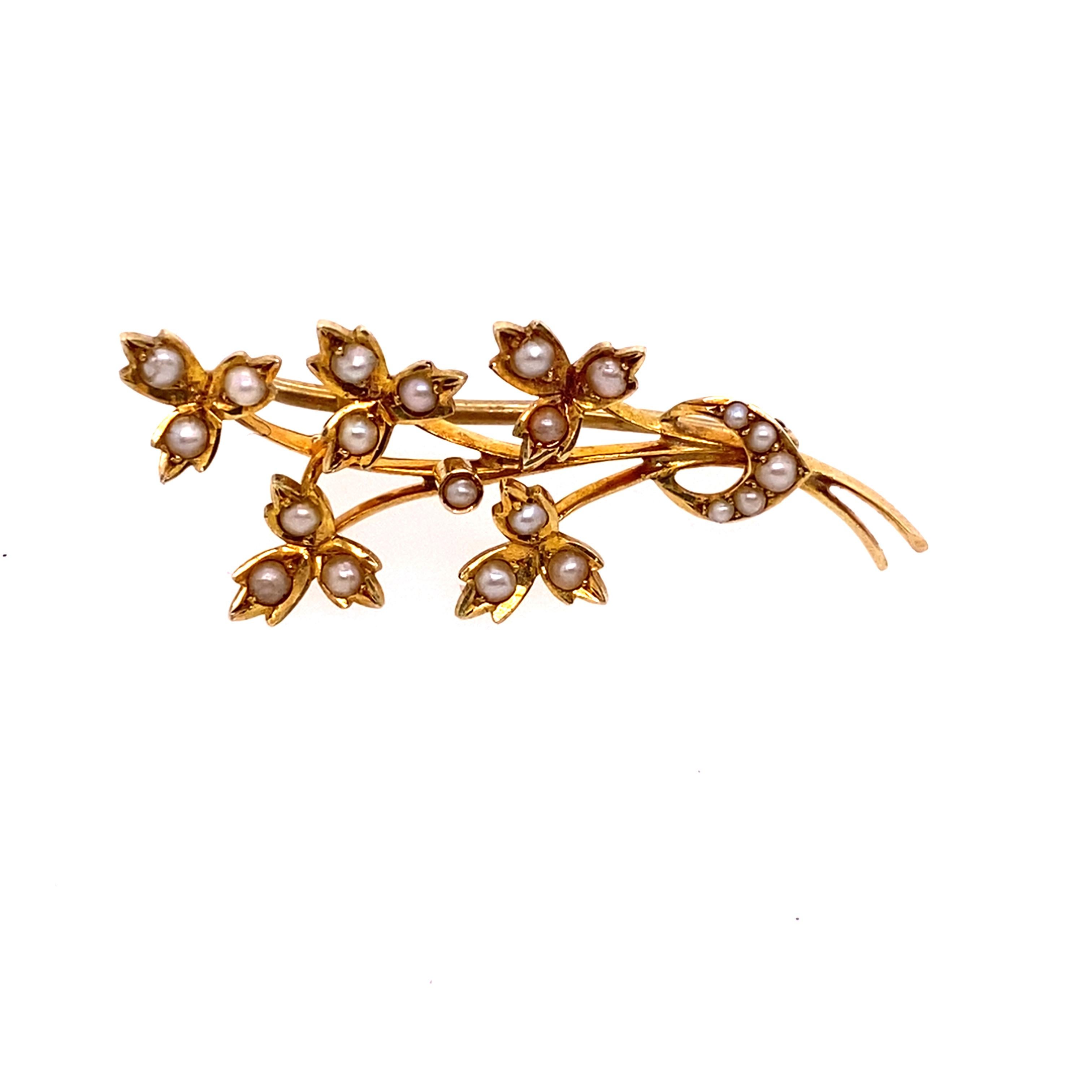 Antique Seed Pearl Spray Brooch in 15ct Gold In Excellent Condition For Sale In London, GB