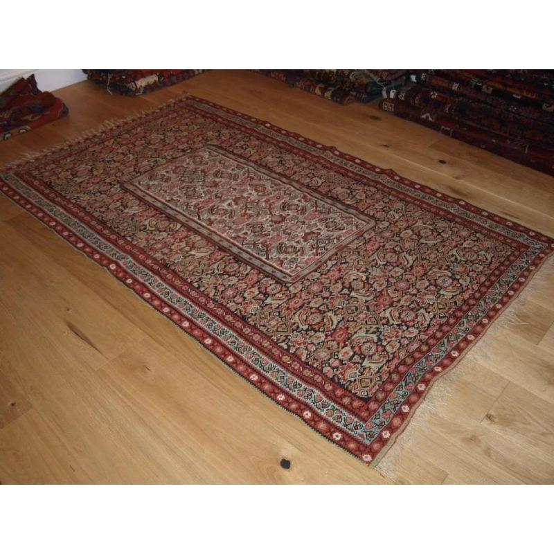 Antique Senneh Kilim with Scarce Design, circa 1900 In Good Condition For Sale In Moreton-In-Marsh, GB