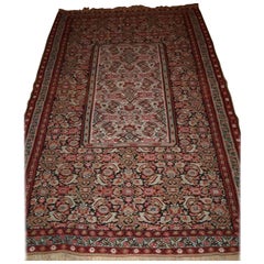 Kilim antique de Senneh au Circa Design rare, circa 1900
