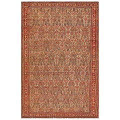 Used Senneh Persian Rug