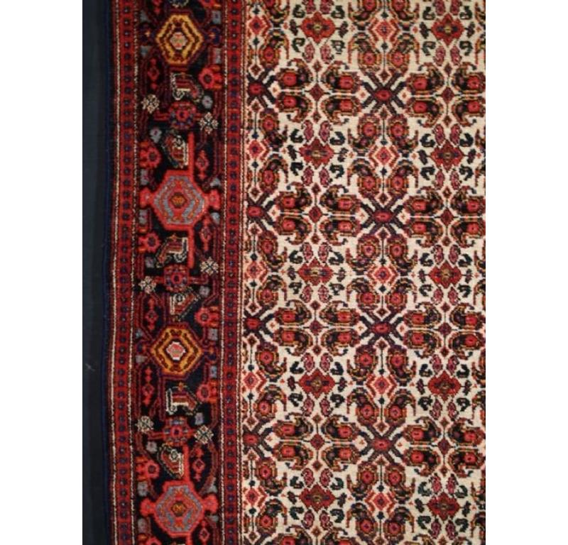 Antiker Teppich aus der Stadt Senneh
CIRCA 1900

Ein hervorragender Teppich mit gut gezeichnetem All-Over-Muster, typisch für die Senneh-Knüpfung

Der Teppich ist in ausgezeichnetem Zustand mit gleichmäßiger Abnutzung und gutem Flor

Von Hand