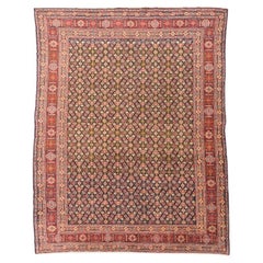 Antique Senneh Wool Rug. Circa. 1920. 2.85 x 2.25 m