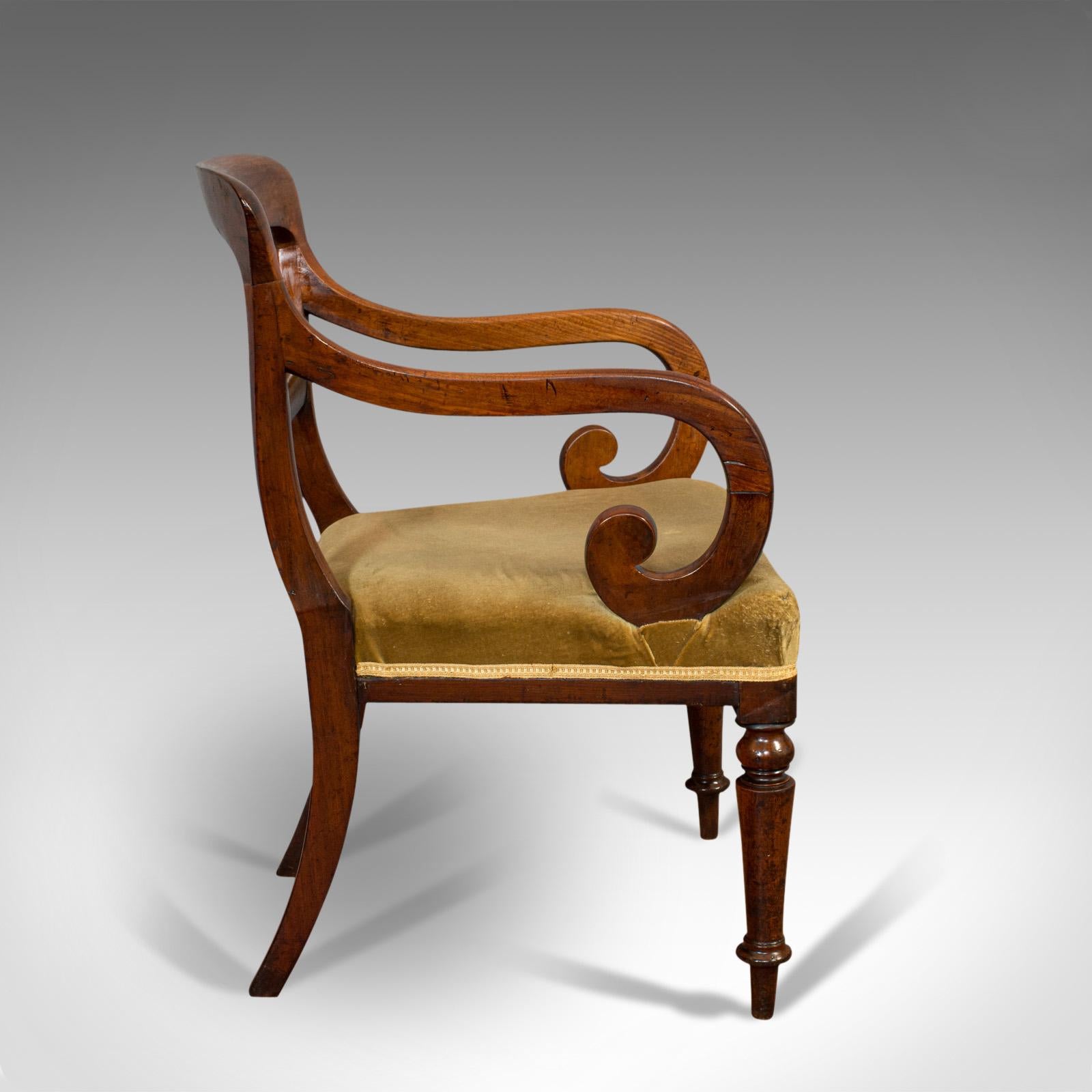 Antique Serpentine Armchair, English, Mahogany, Elbow Seat, Regency, circa 1820 In Good Condition In Hele, Devon, GB
