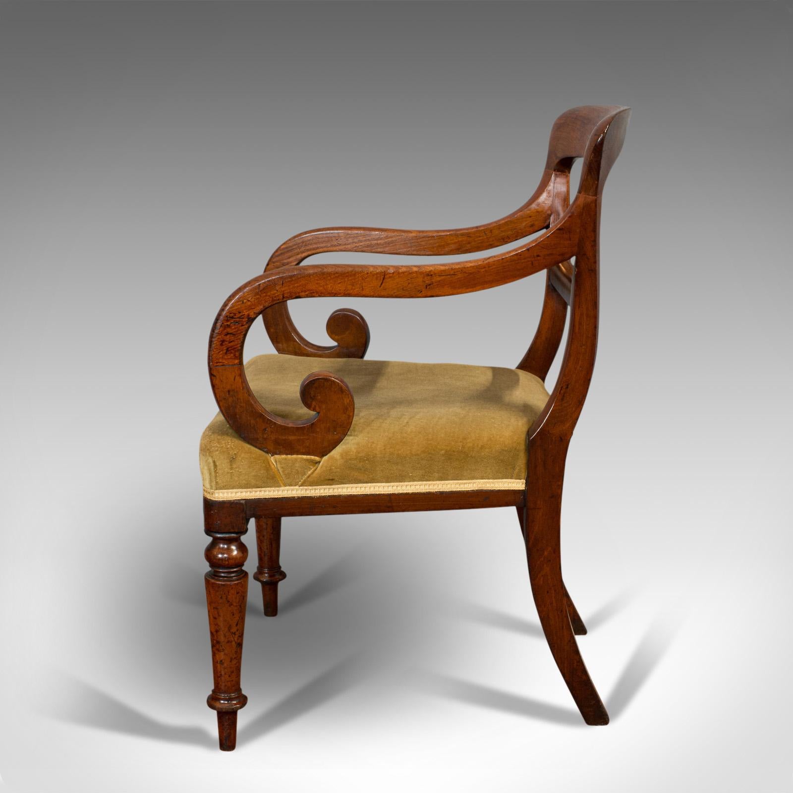 19th Century Antique Serpentine Armchair, English, Mahogany, Elbow Seat, Regency, circa 1820