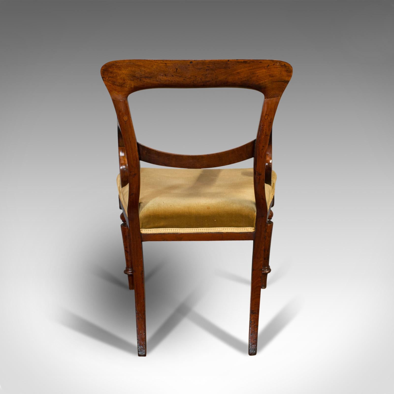 Antique Serpentine Armchair, English, Mahogany, Elbow Seat, Regency, circa 1820 1