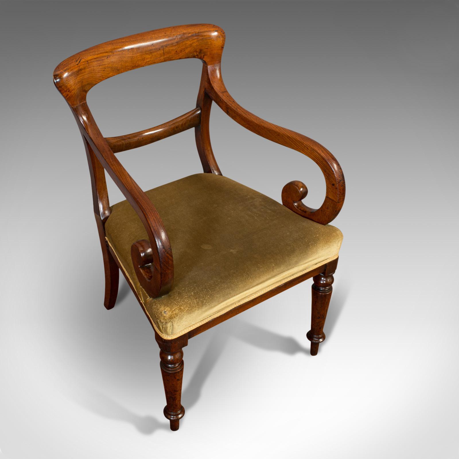 Antique Serpentine Armchair, English, Mahogany, Elbow Seat, Regency, circa 1820 2