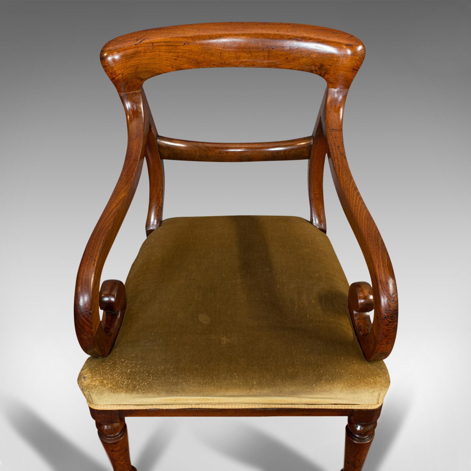 Antique Serpentine Armchair, English, Mahogany, Elbow Seat, Regency, circa 1820 3