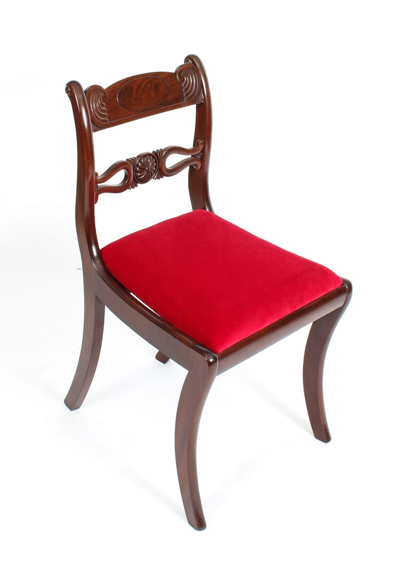 Antique Set 10 English Mahogany Regency Dining Chairs 19th Century 5