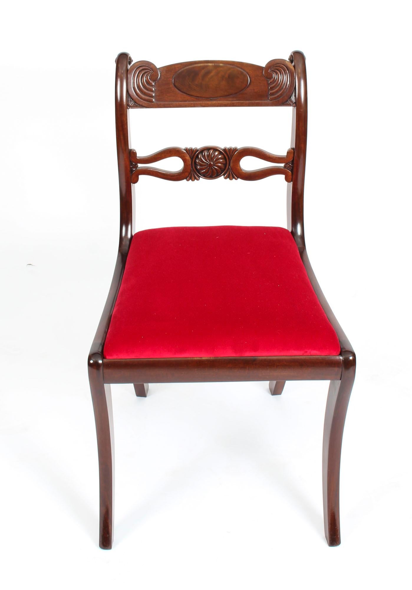 Antique Set 10 English Mahogany Regency Dining Chairs 19th Century 6