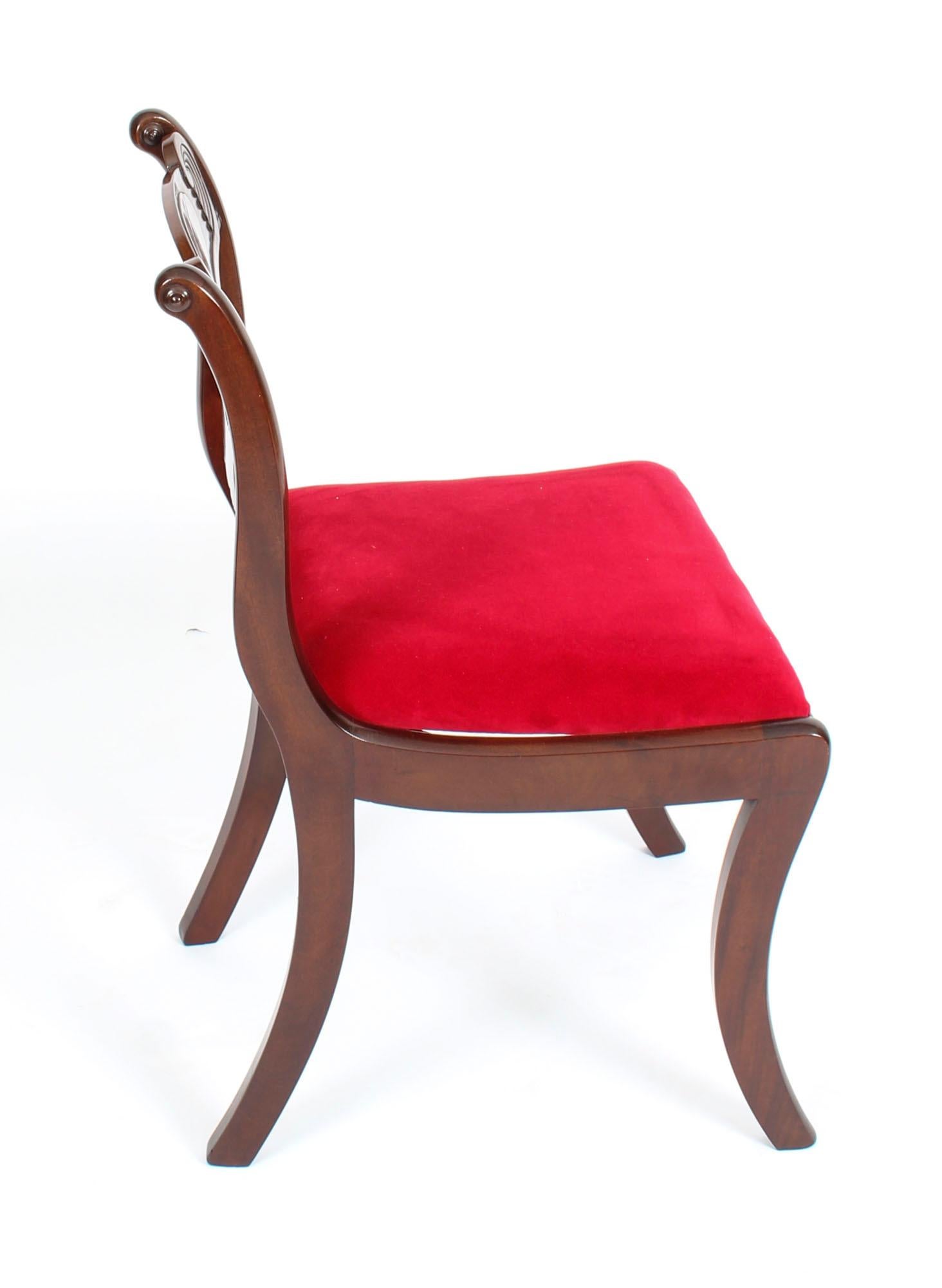 Antique Set 10 English Mahogany Regency Dining Chairs 19th Century 7