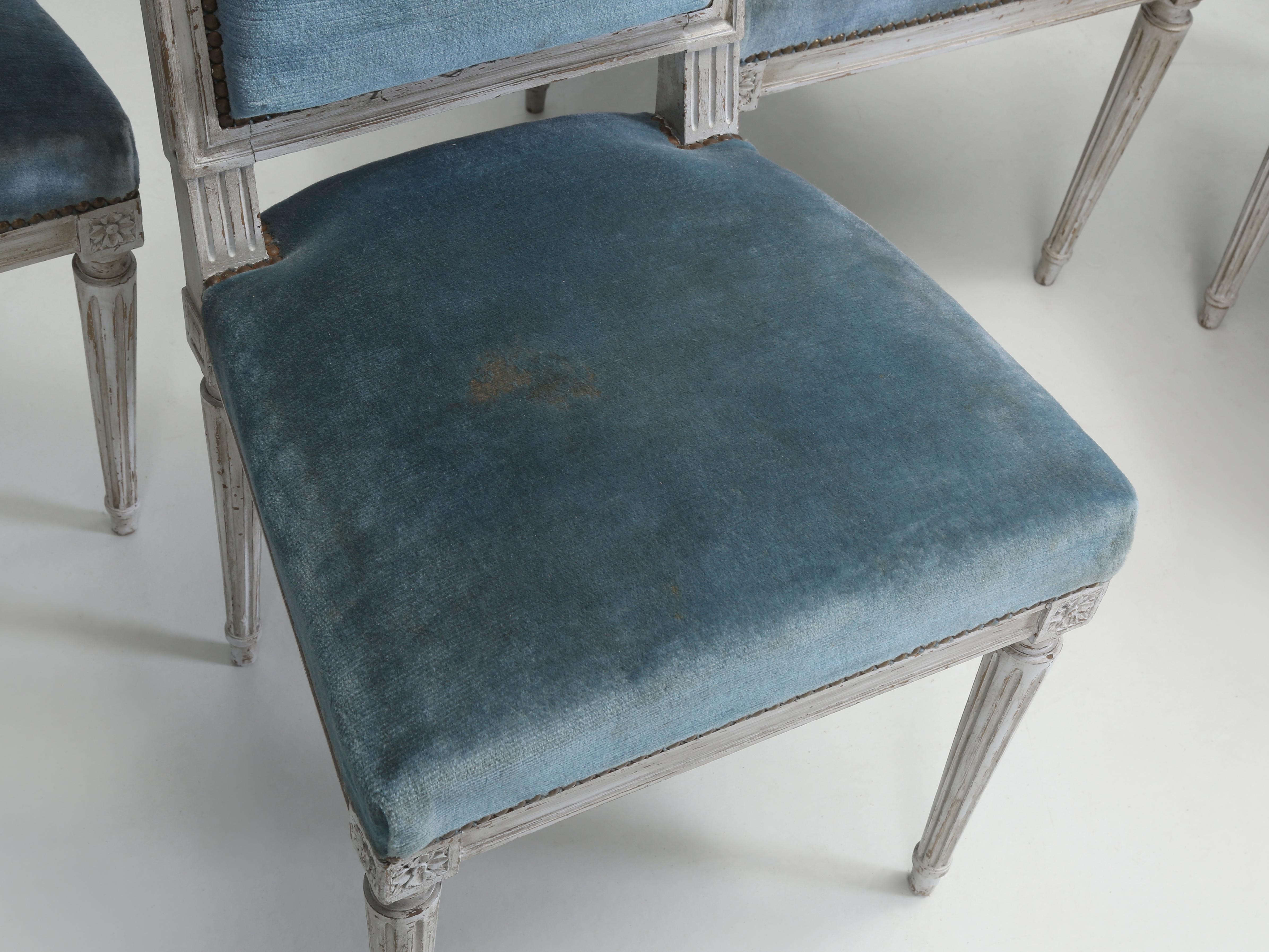 Ensemble ancien (10)  Chaises de salle à manger françaises Louis XVI à l'ancienne peinture doivent être restaurées 1