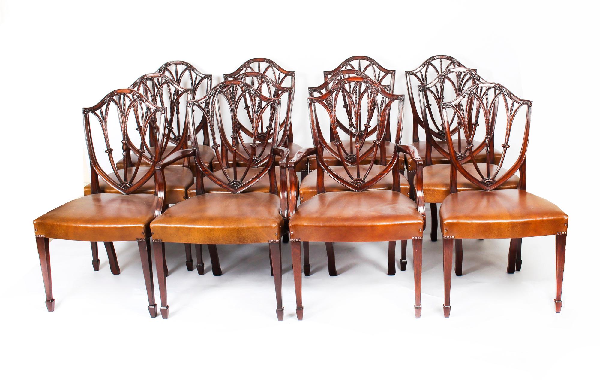 Antique Set 12 English Mahogany Hepplewhite Dining Chairs 19th Century 14