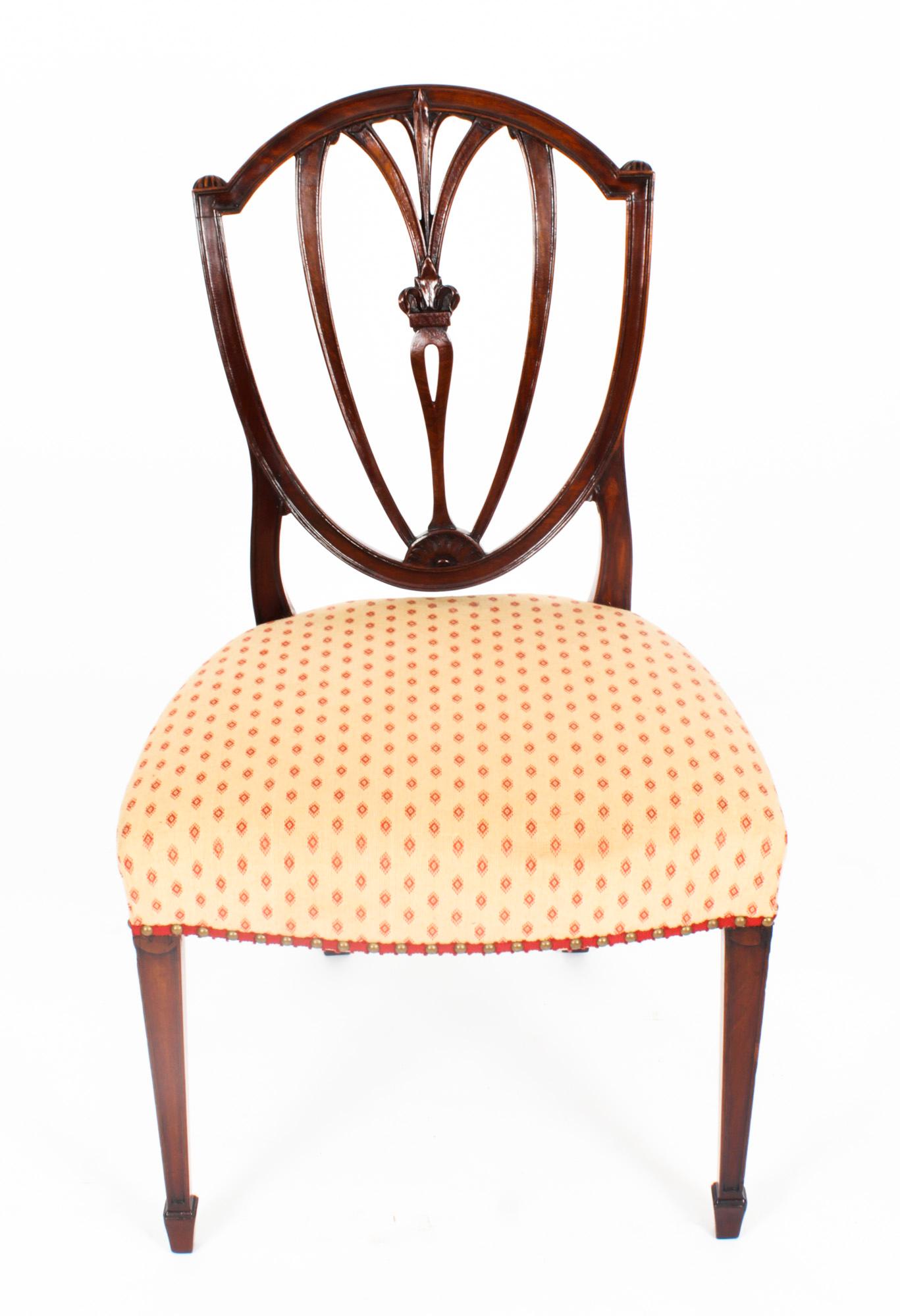 Antique Set 14 Hepplewhite Mahogany Dining Chairs 19th Century 6