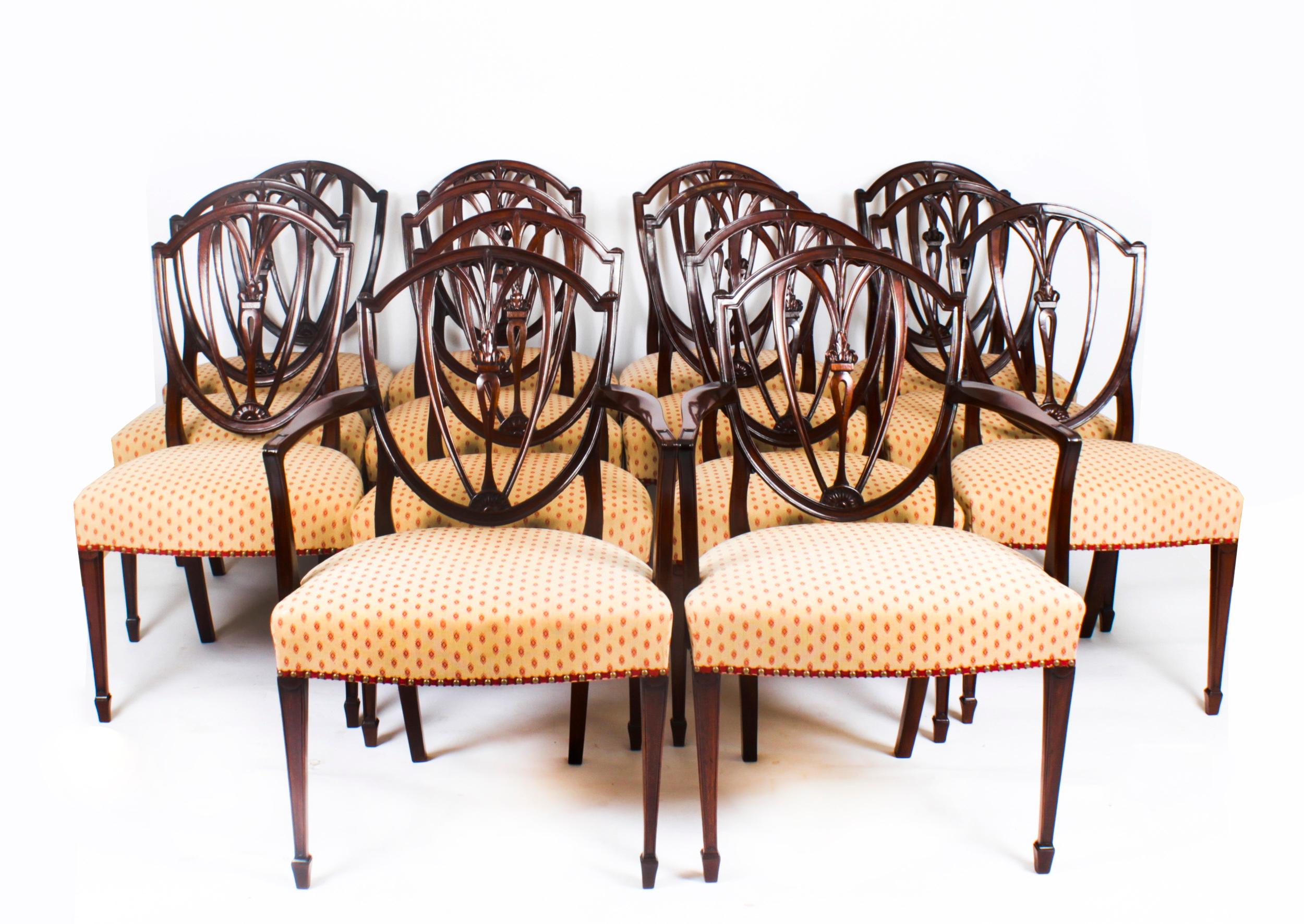 Antique Set 14 Hepplewhite Mahogany Dining Chairs 19th Century 14