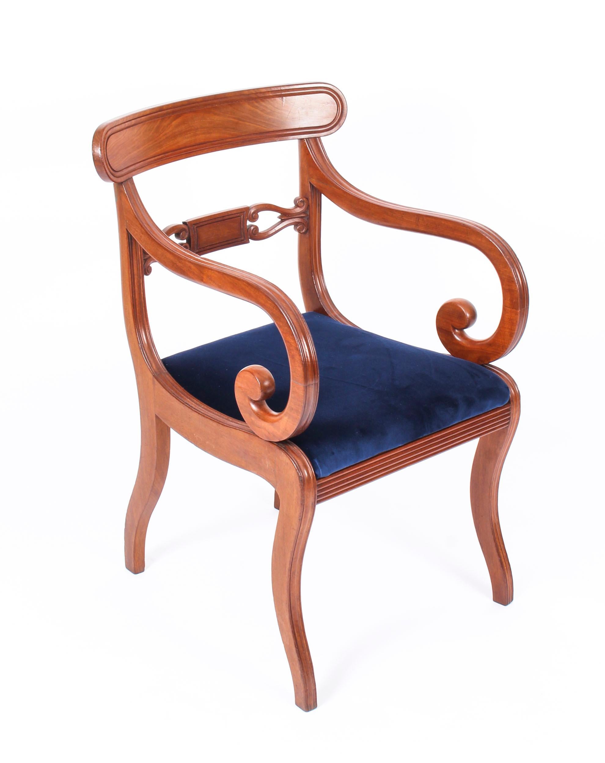 English Antique Set of 14 Regency Mahogany Dining Chairs, 19th Century
