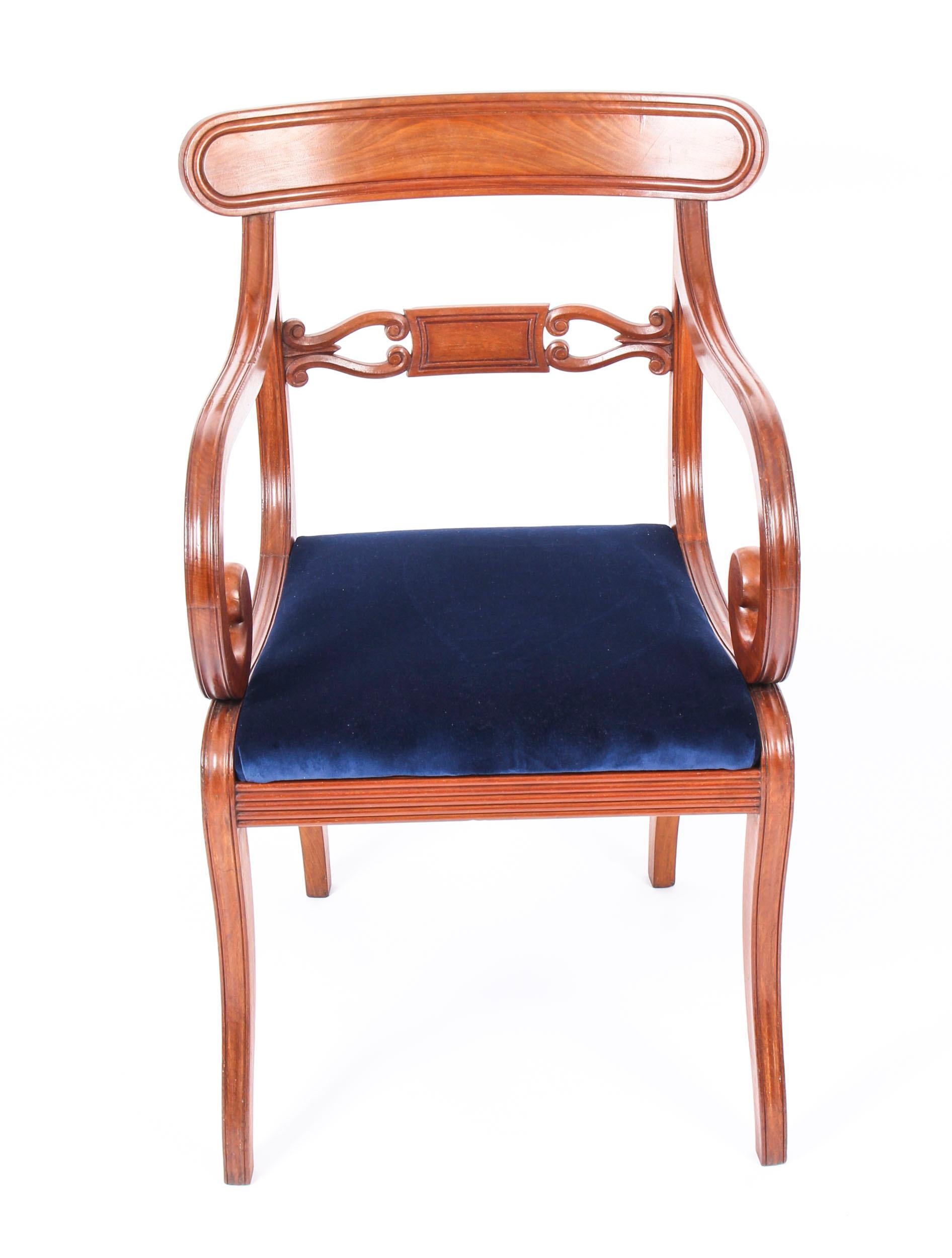 Antique Set of 14 Regency Mahogany Dining Chairs, 19th Century 2