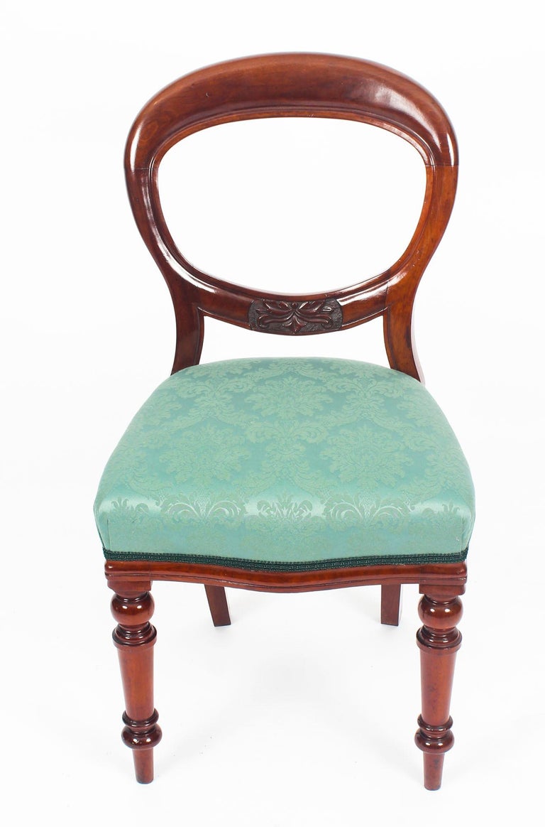 Antique Set 14 Victorian Mahogany Balloon Back Dining Chairs, 19th